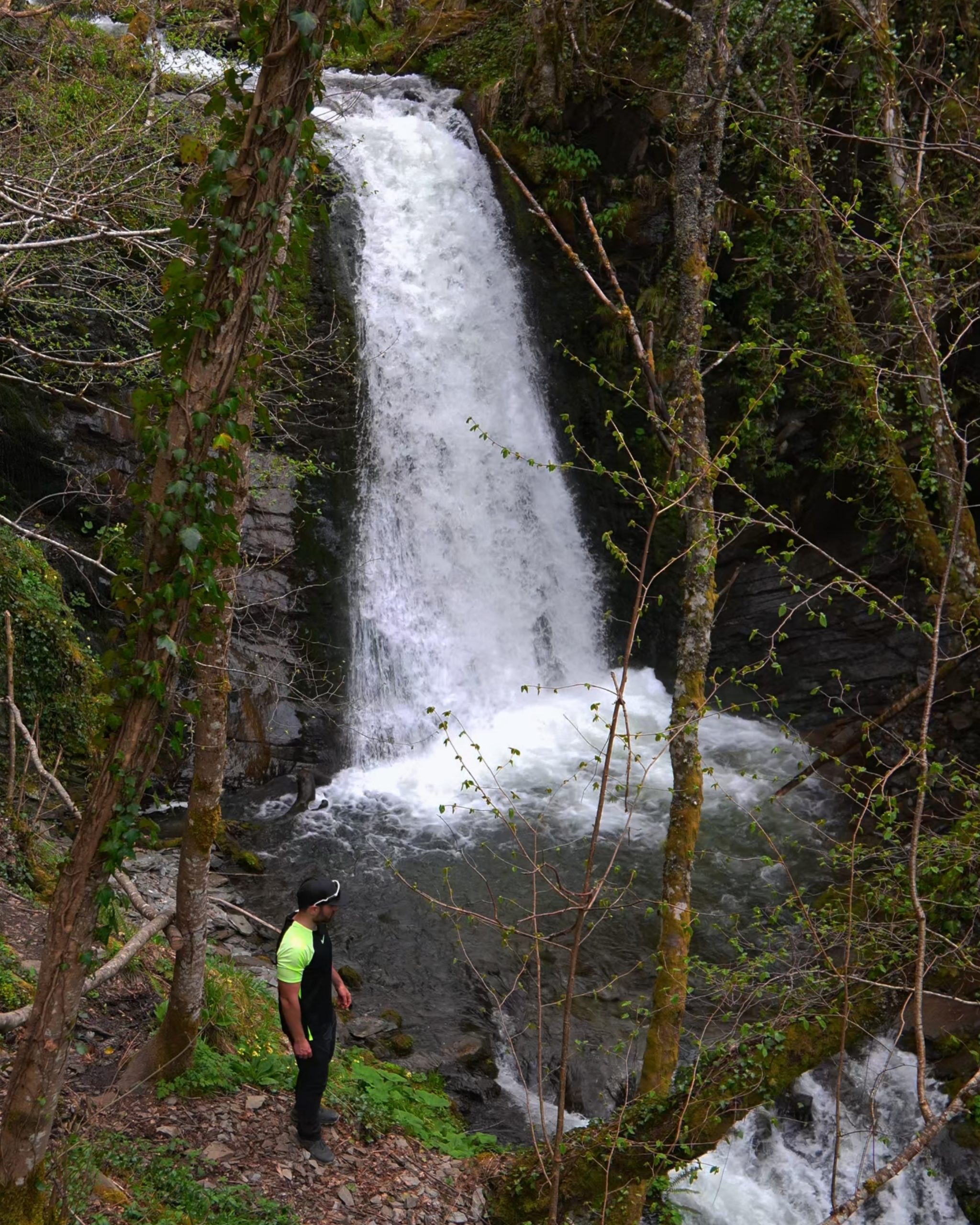 InCollage_20251029_172914759