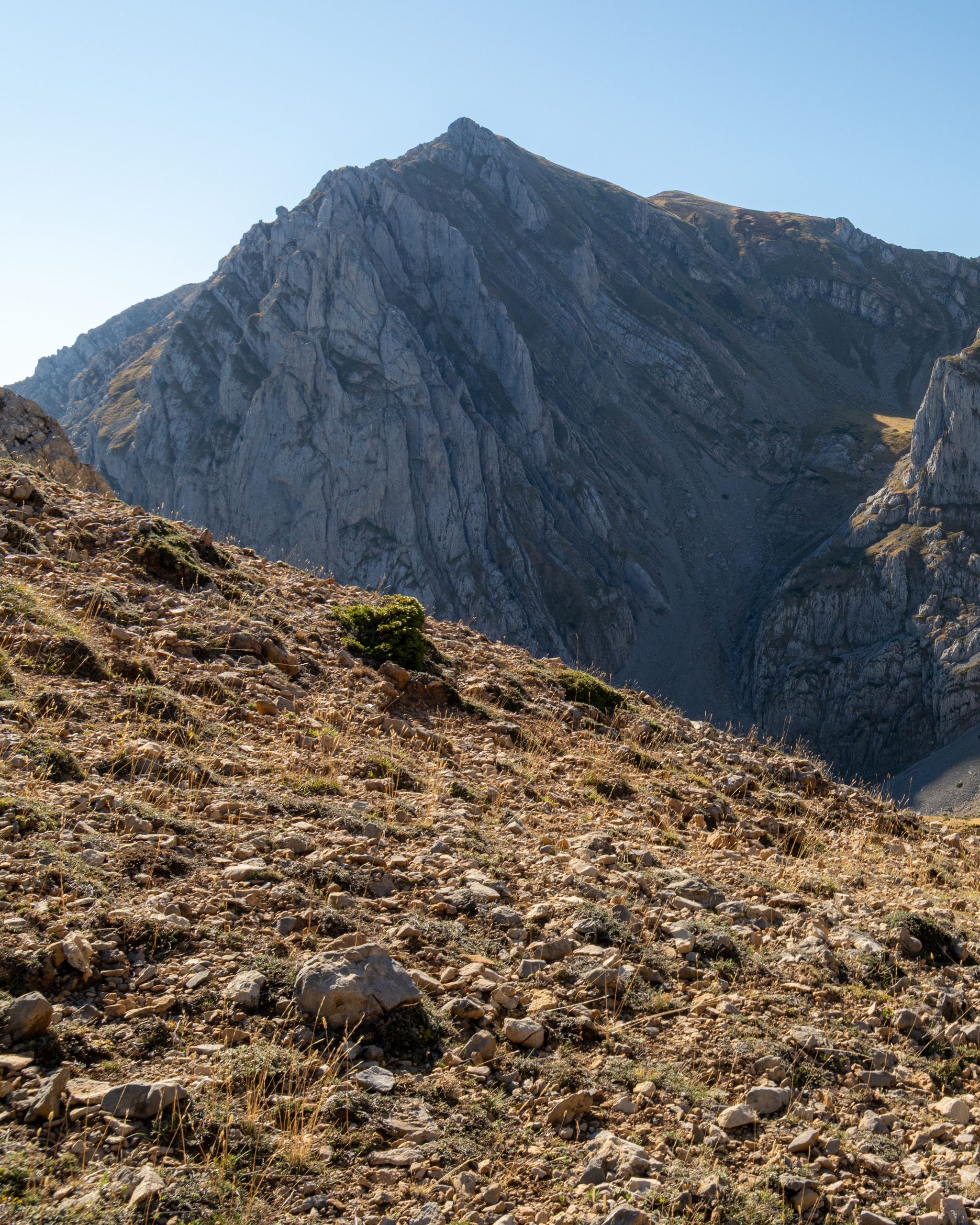 PC_03102025_142346 (01)