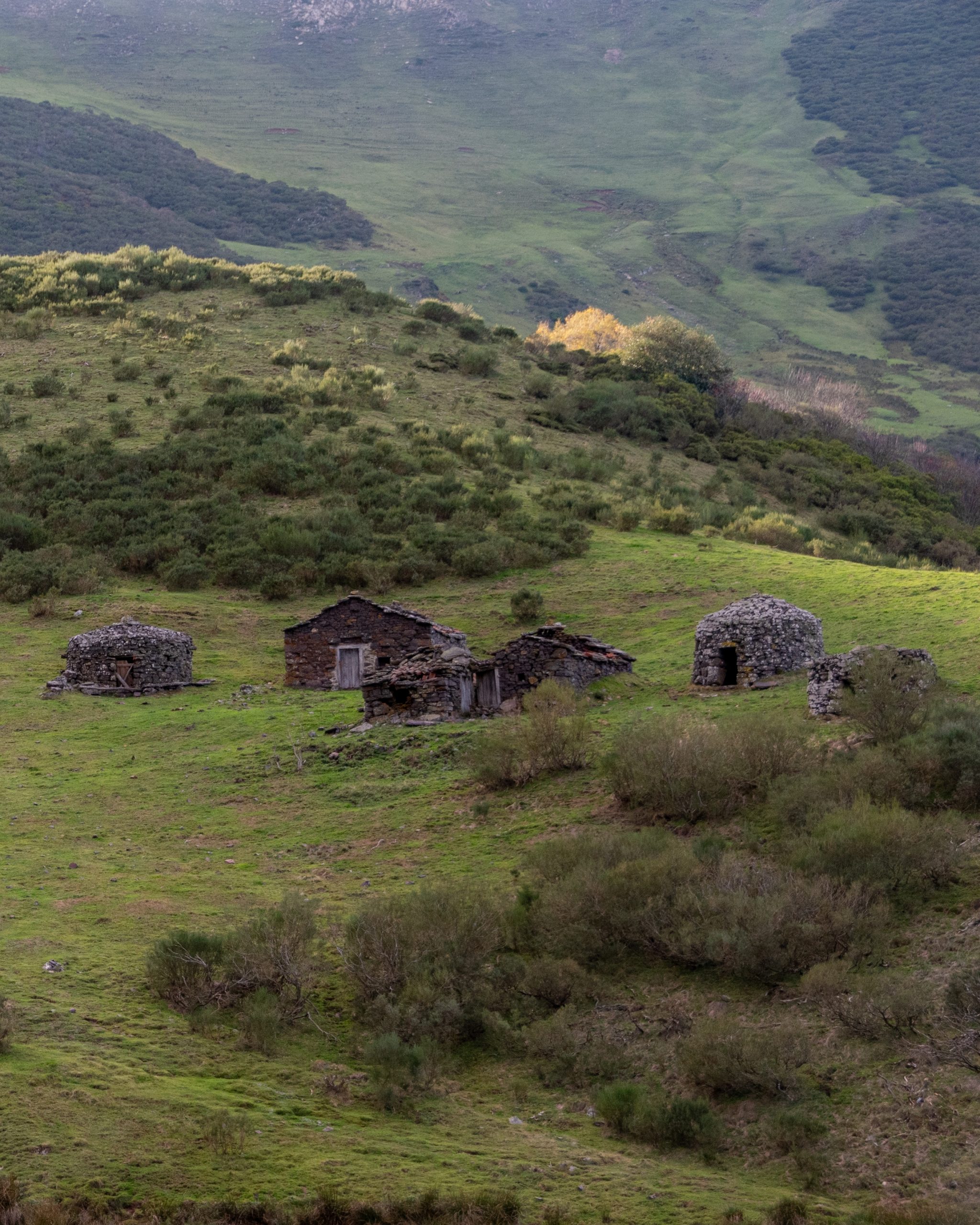 PC_03102025_173408 (02)