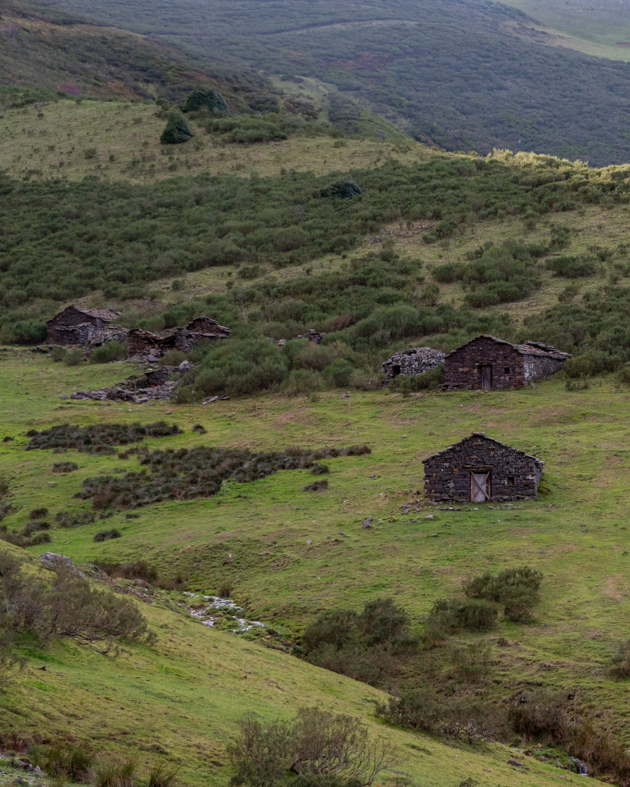 PC_03102025_173409 (01)