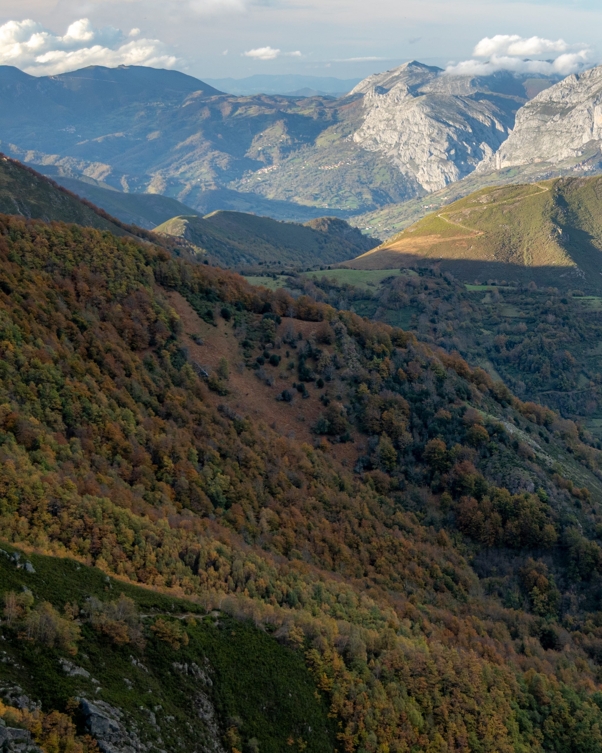 PC_03102025_173447 (01)