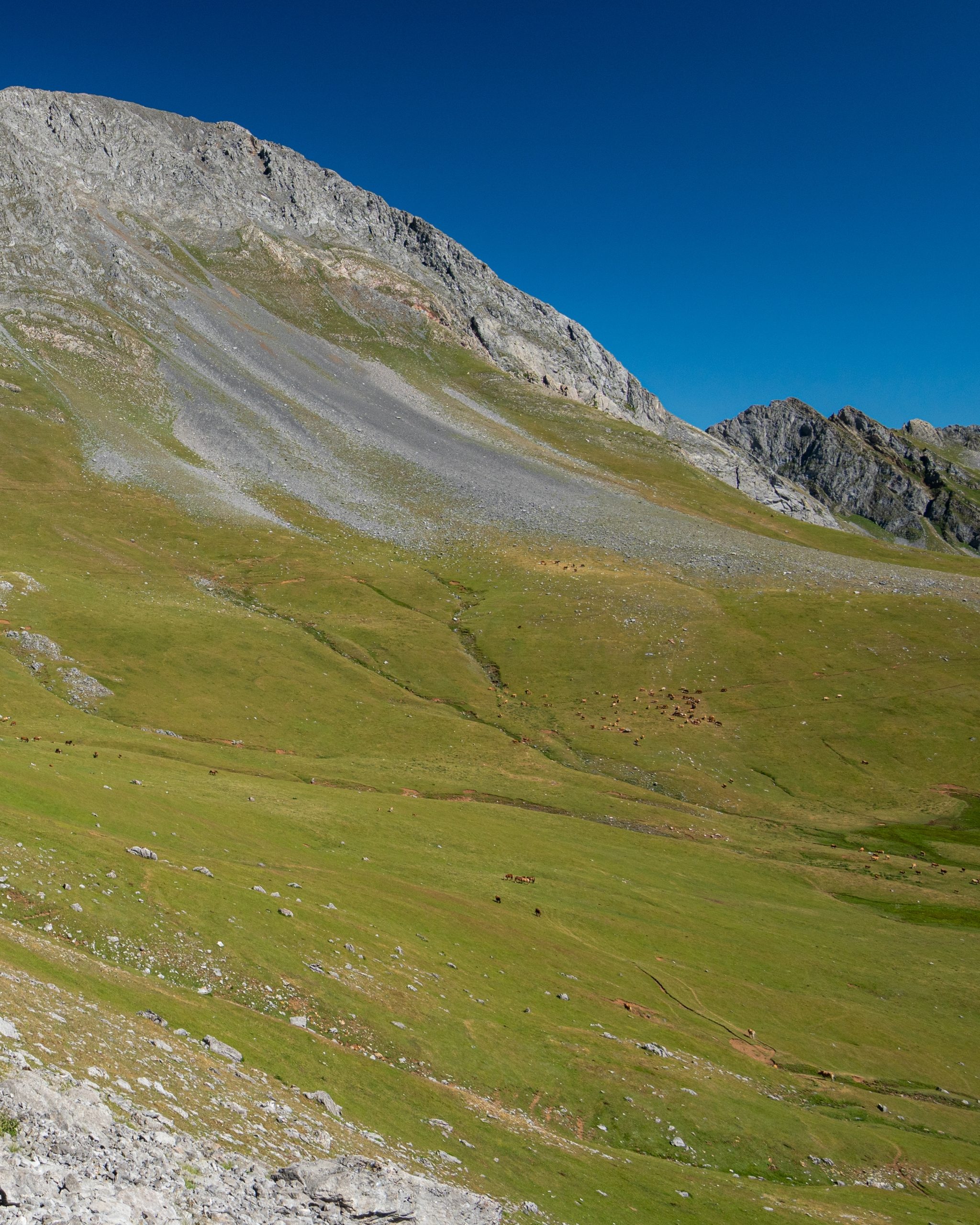 PC_03102025_174805 (02)