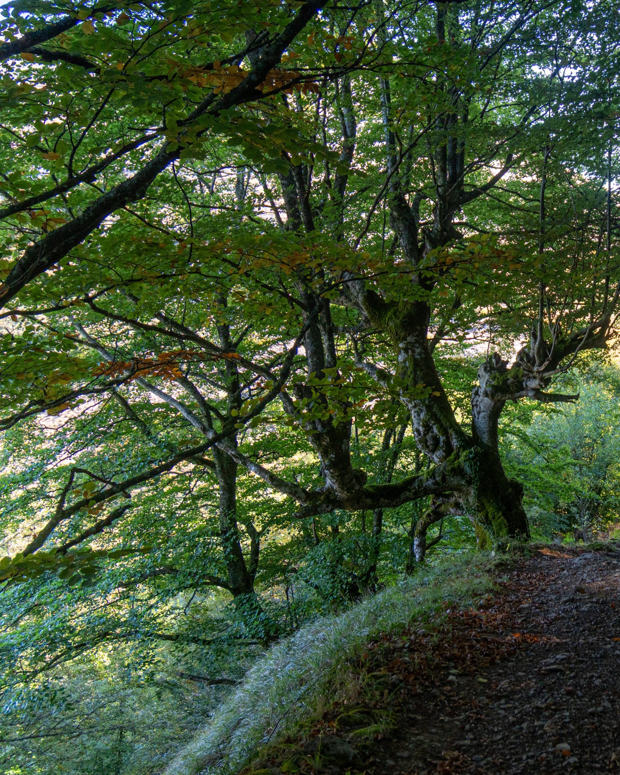 PC_03102025_180202 (01)