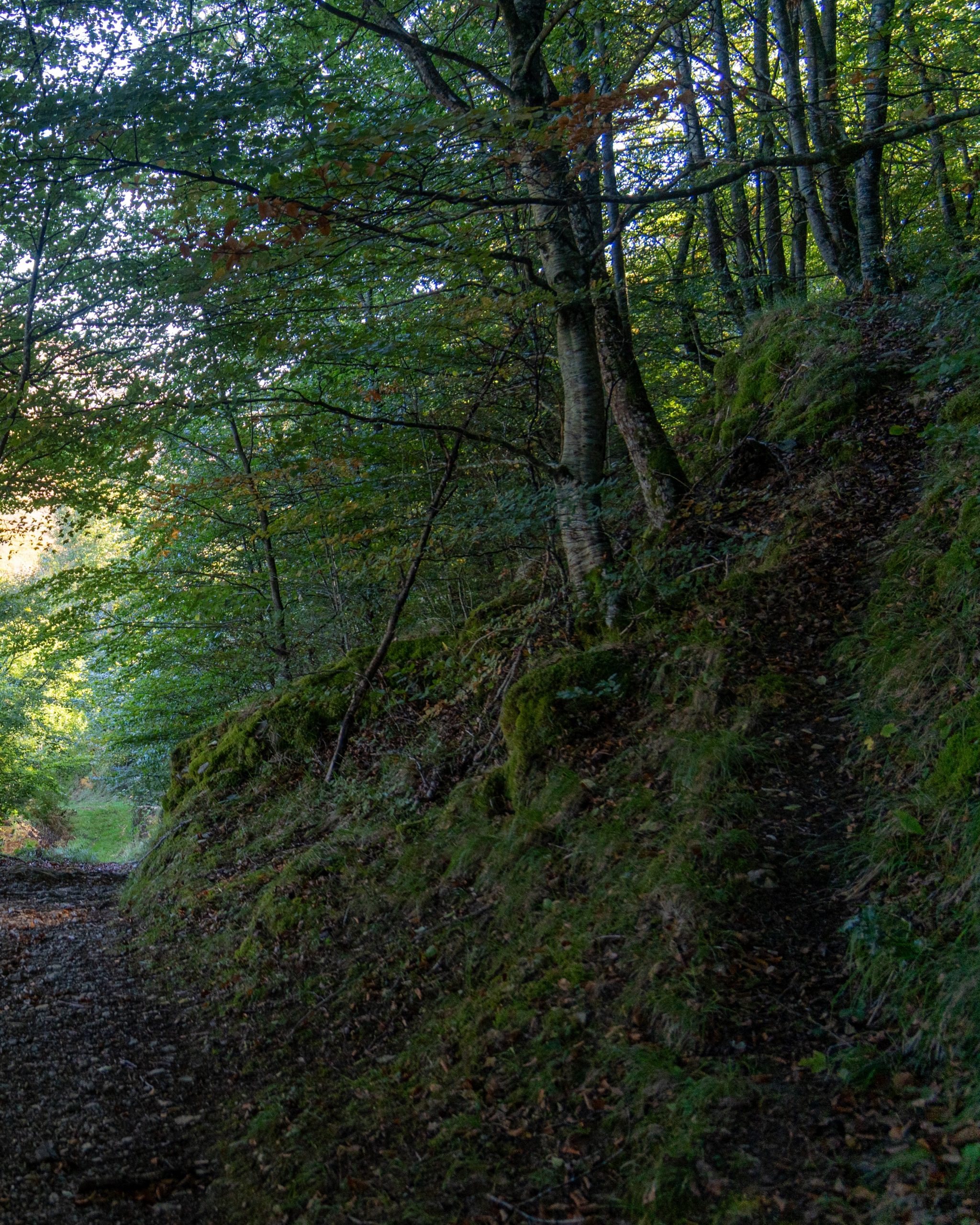 PC_03102025_180202 (02)