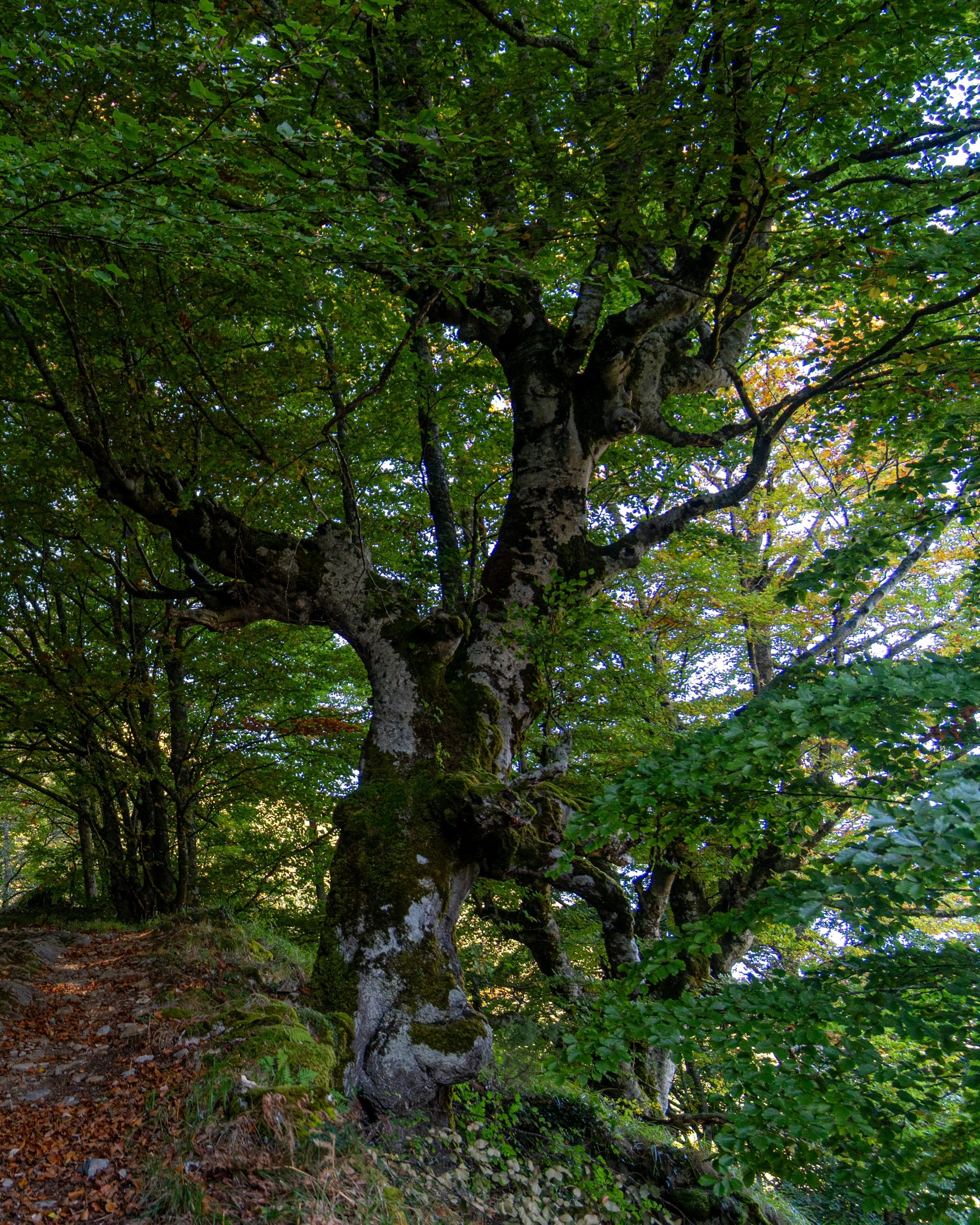 PC_03102025_180221 (02)