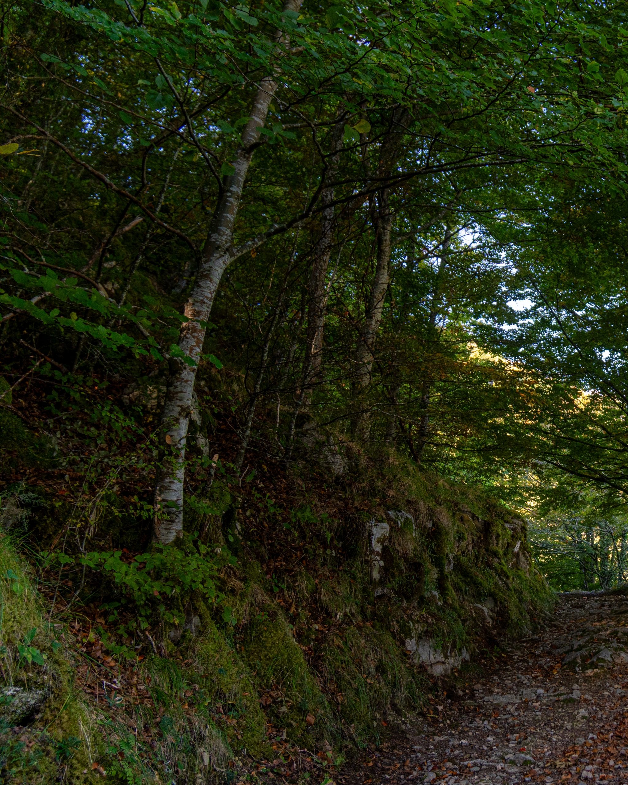 PC_03102025_180222 (01)