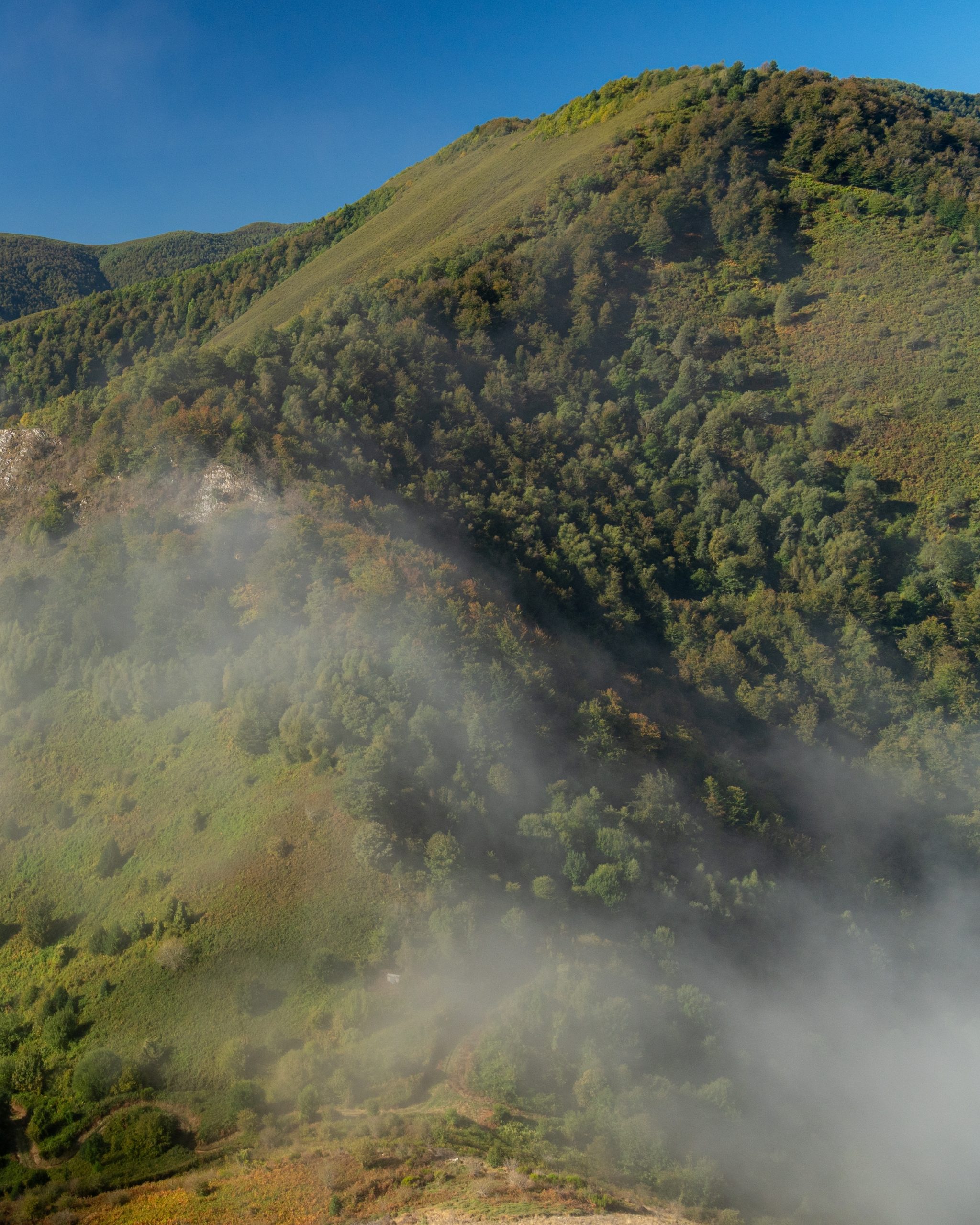 PC_03102025_180249 (02)