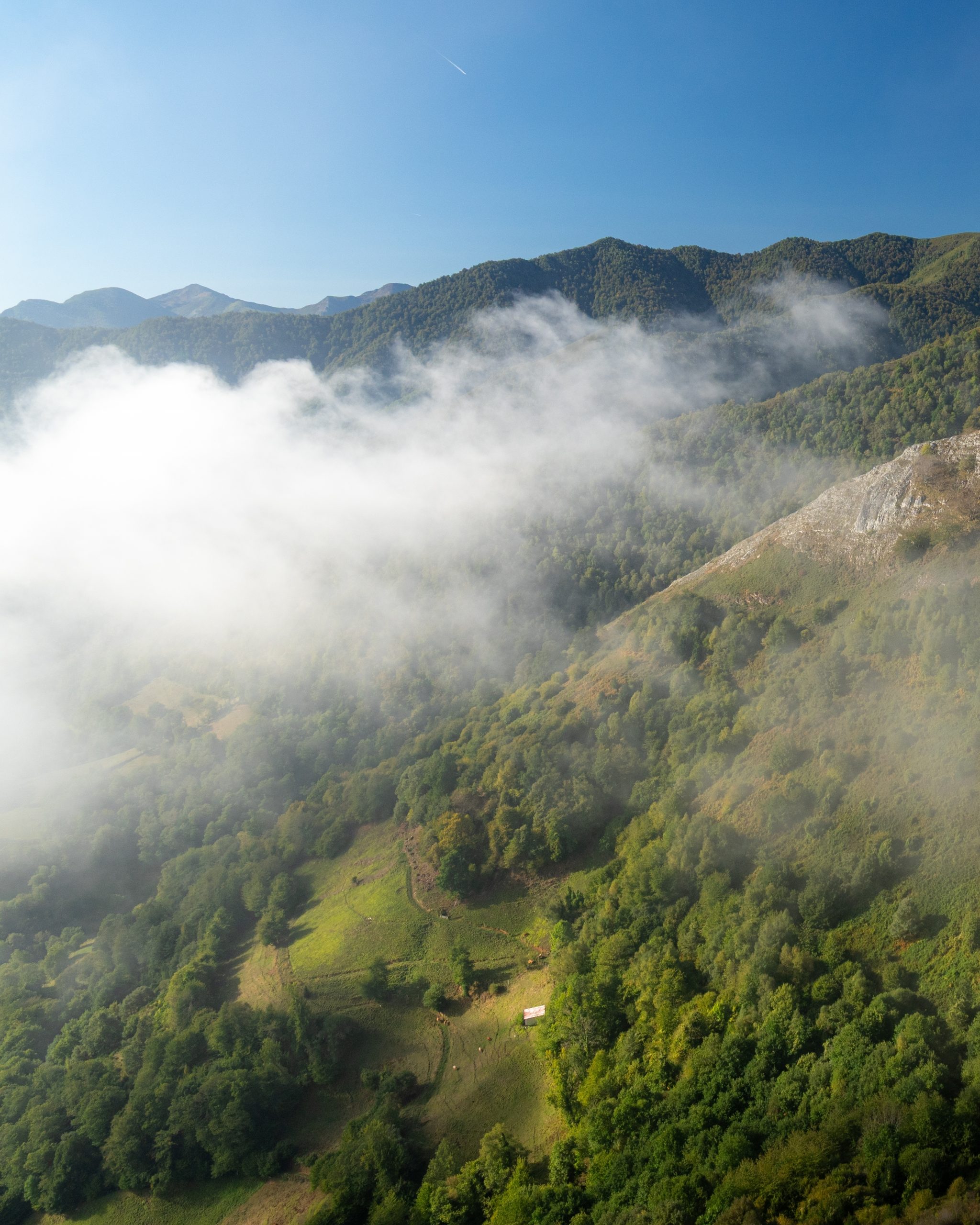 PC_03102025_180250 (01)