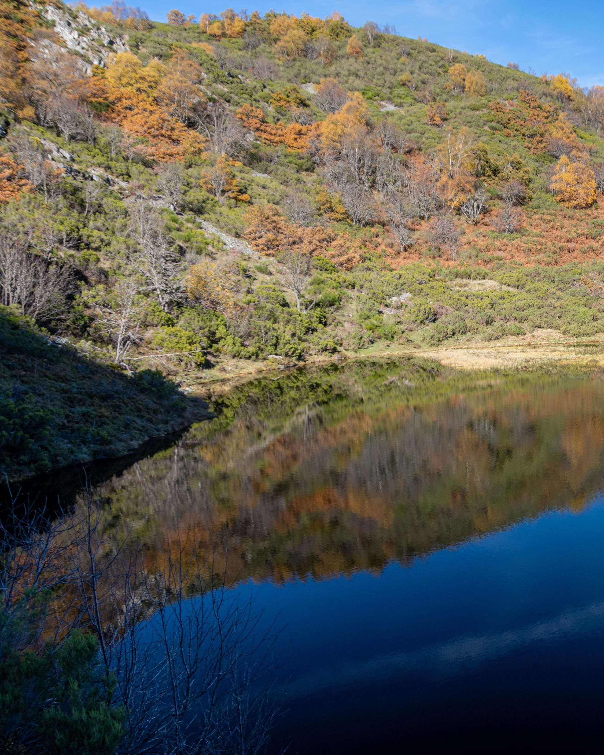 PC_03102025_183430 (01) (1)