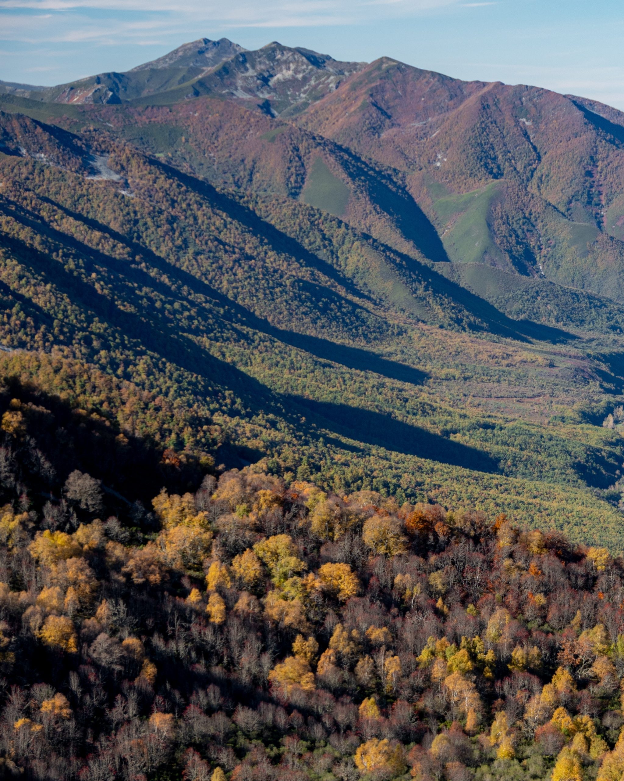 PC_03102025_183507 (01) (1)