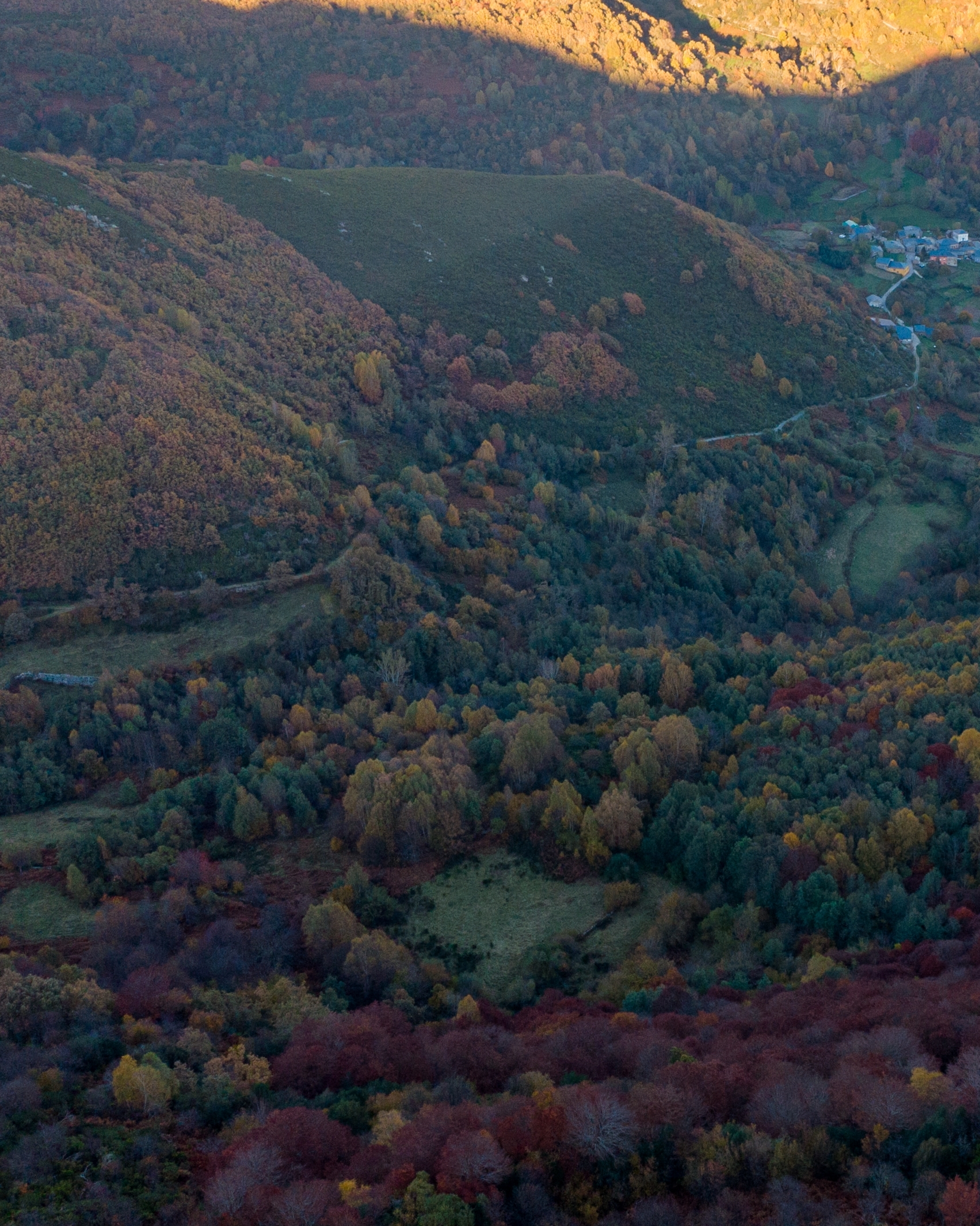 PC_03102025_184336 (01) (1)