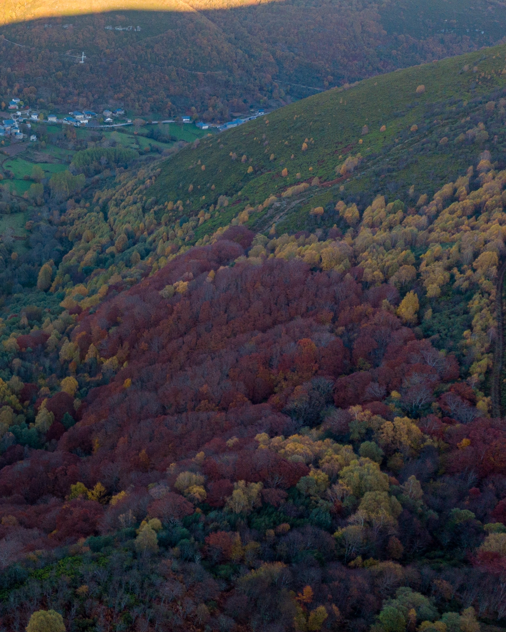 PC_03102025_184336 (02)