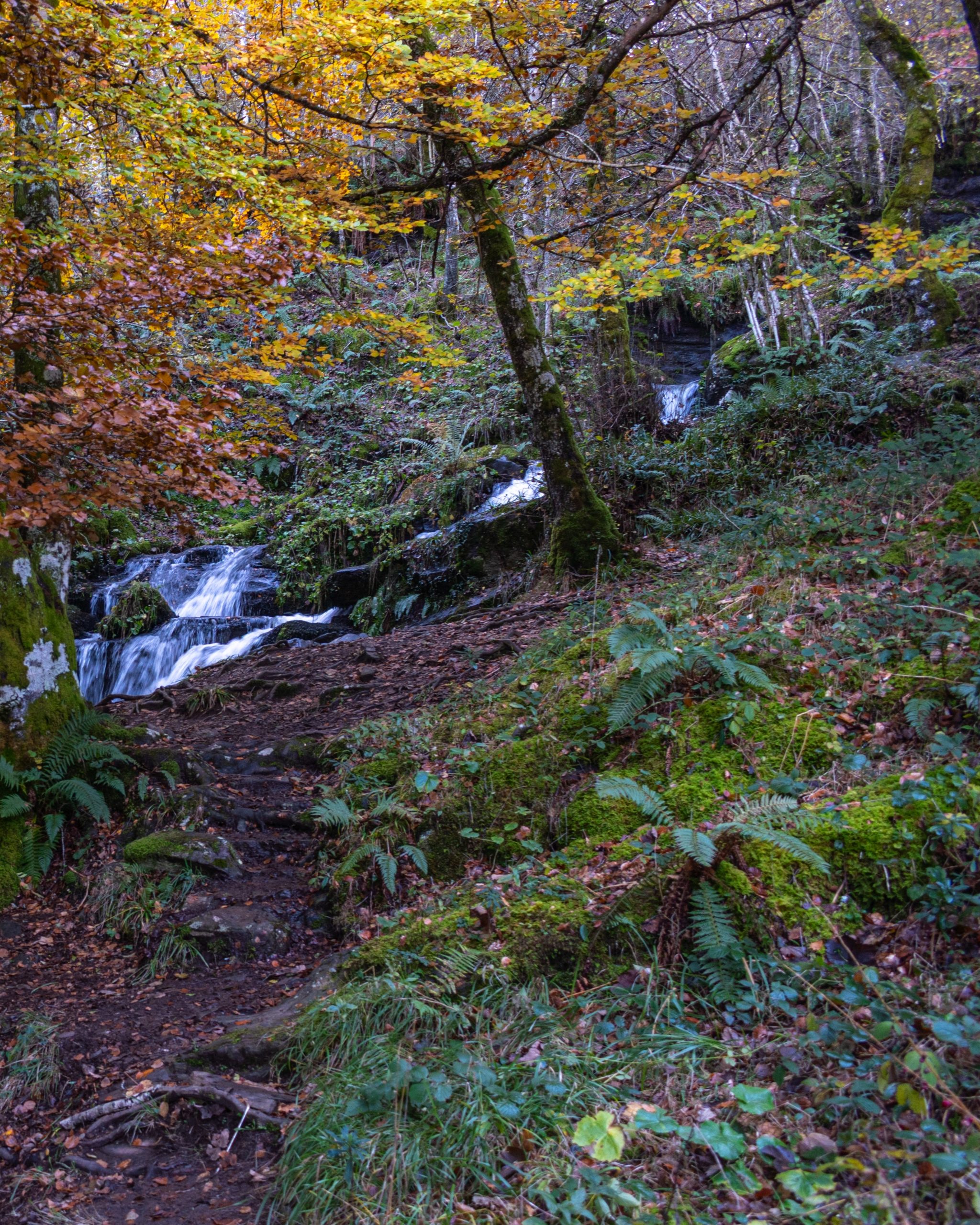 PC_03102025_184405 (02)