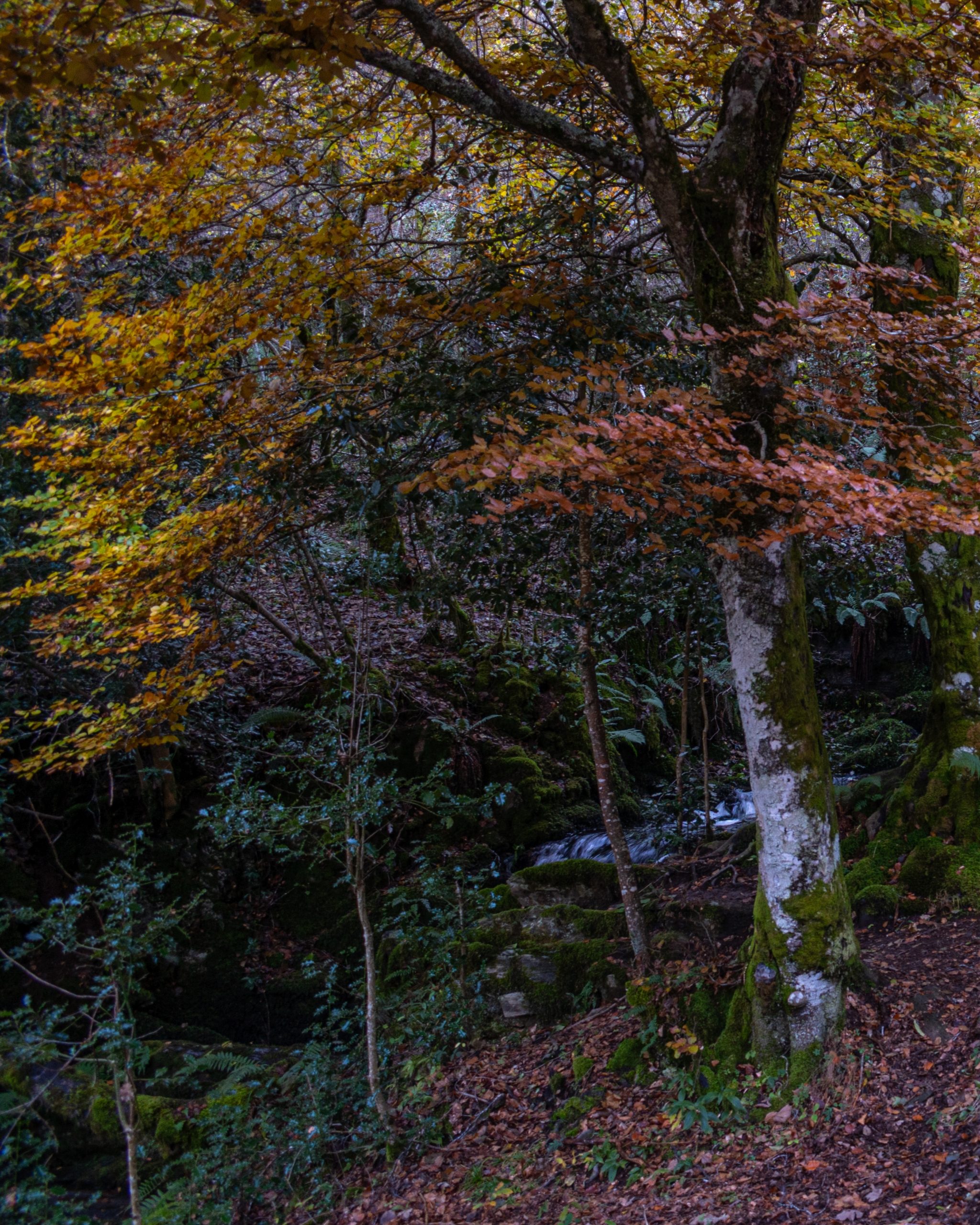 PC_03102025_184406 (01) (1)