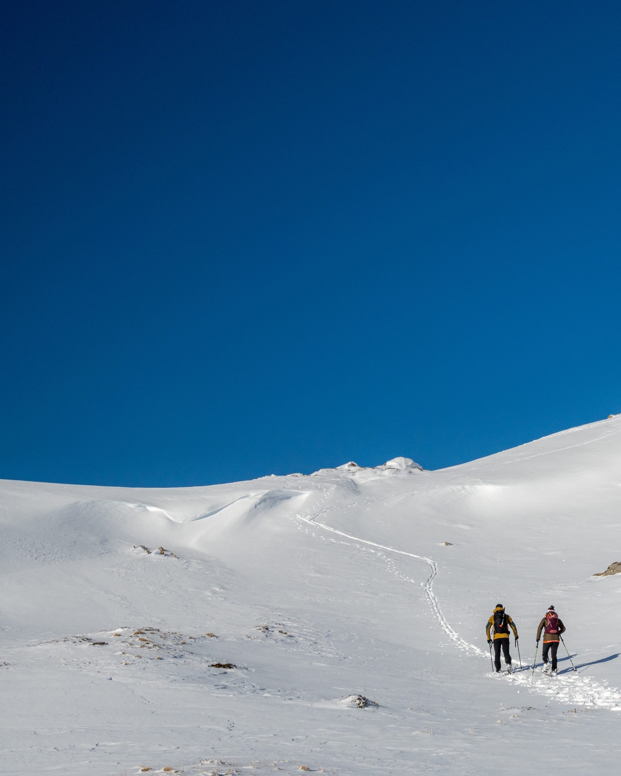 PC_03102025_192431 (01)