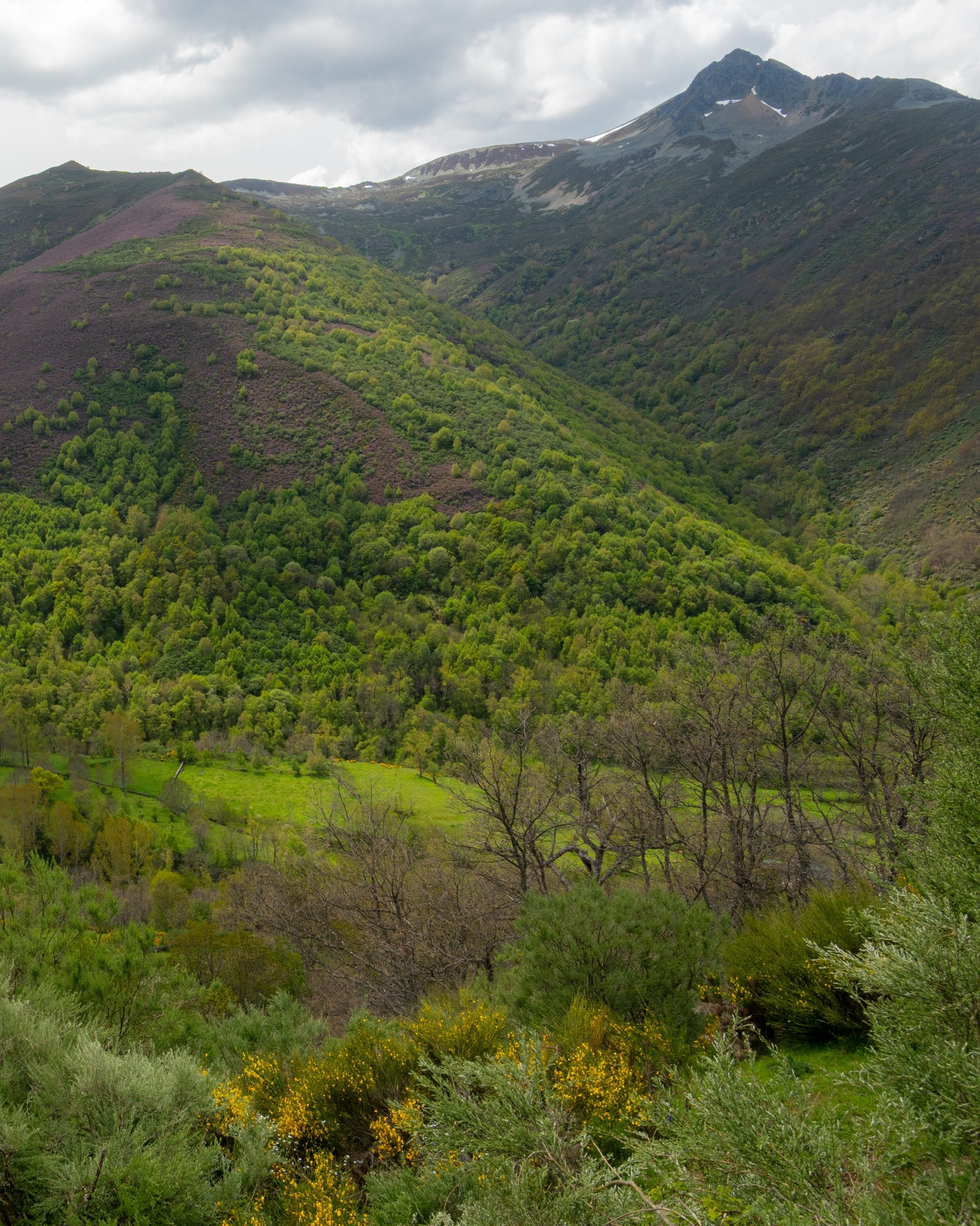 PC_05102025_165229 (02)