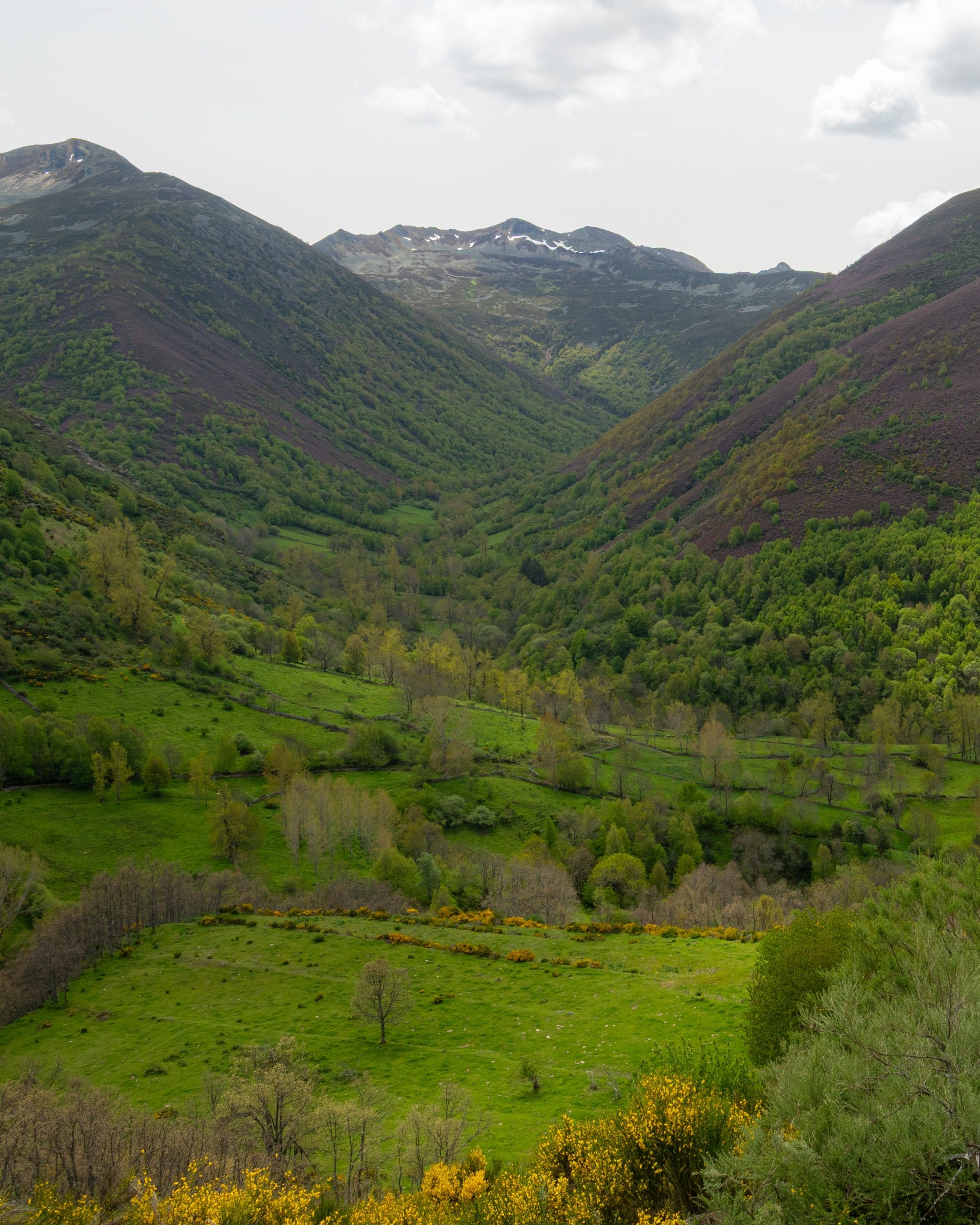 PC_05102025_165230 (01)