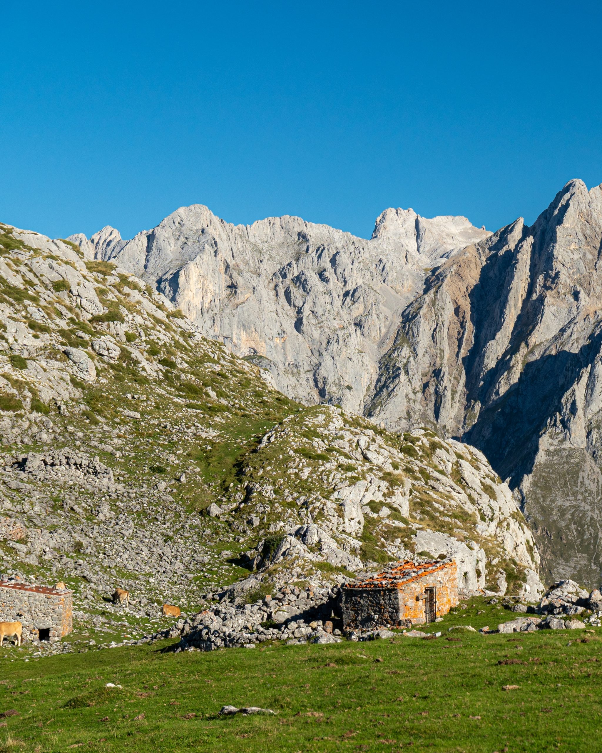 PC_05102025_170041 (01)