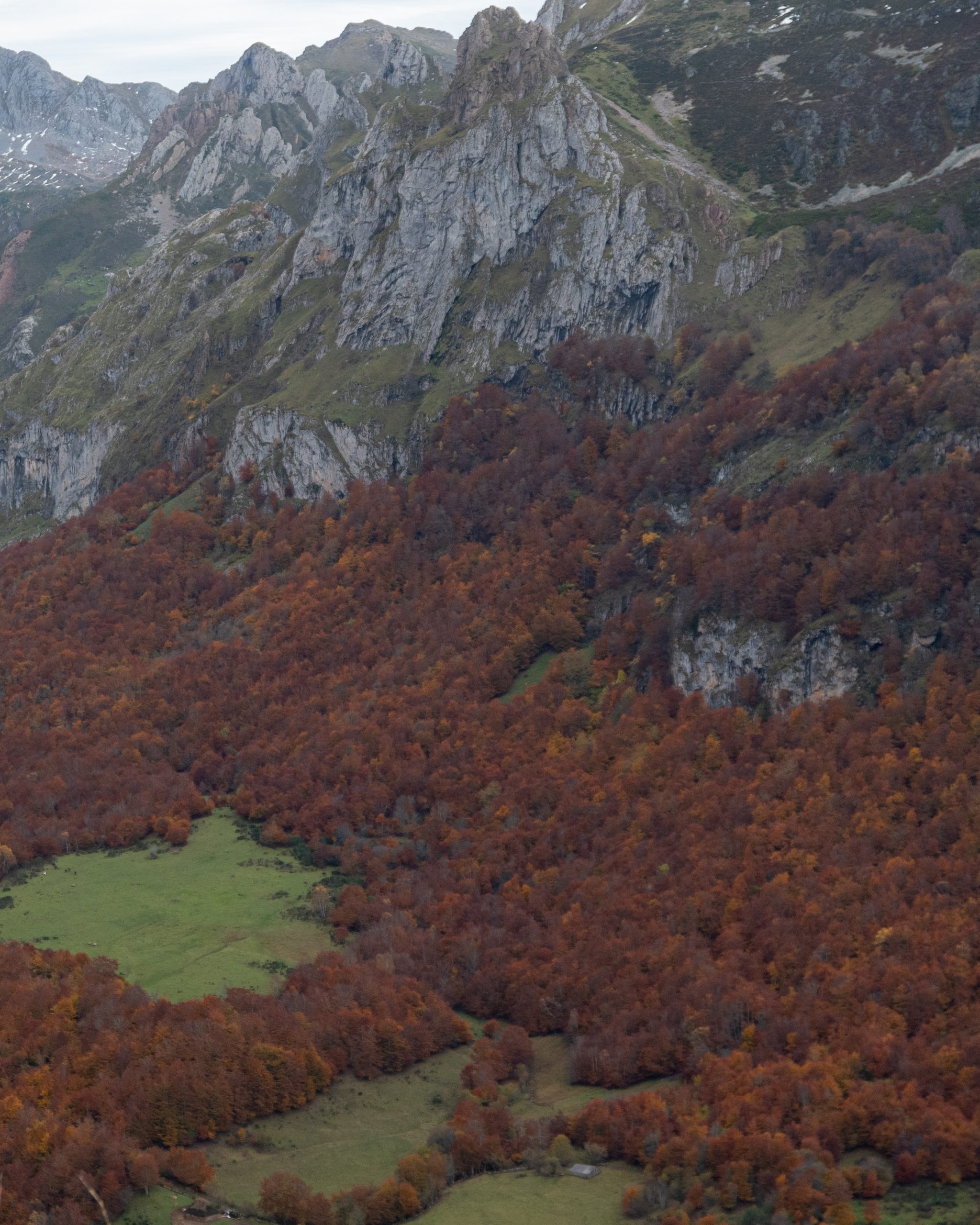 PC_05102025_180924 (02)