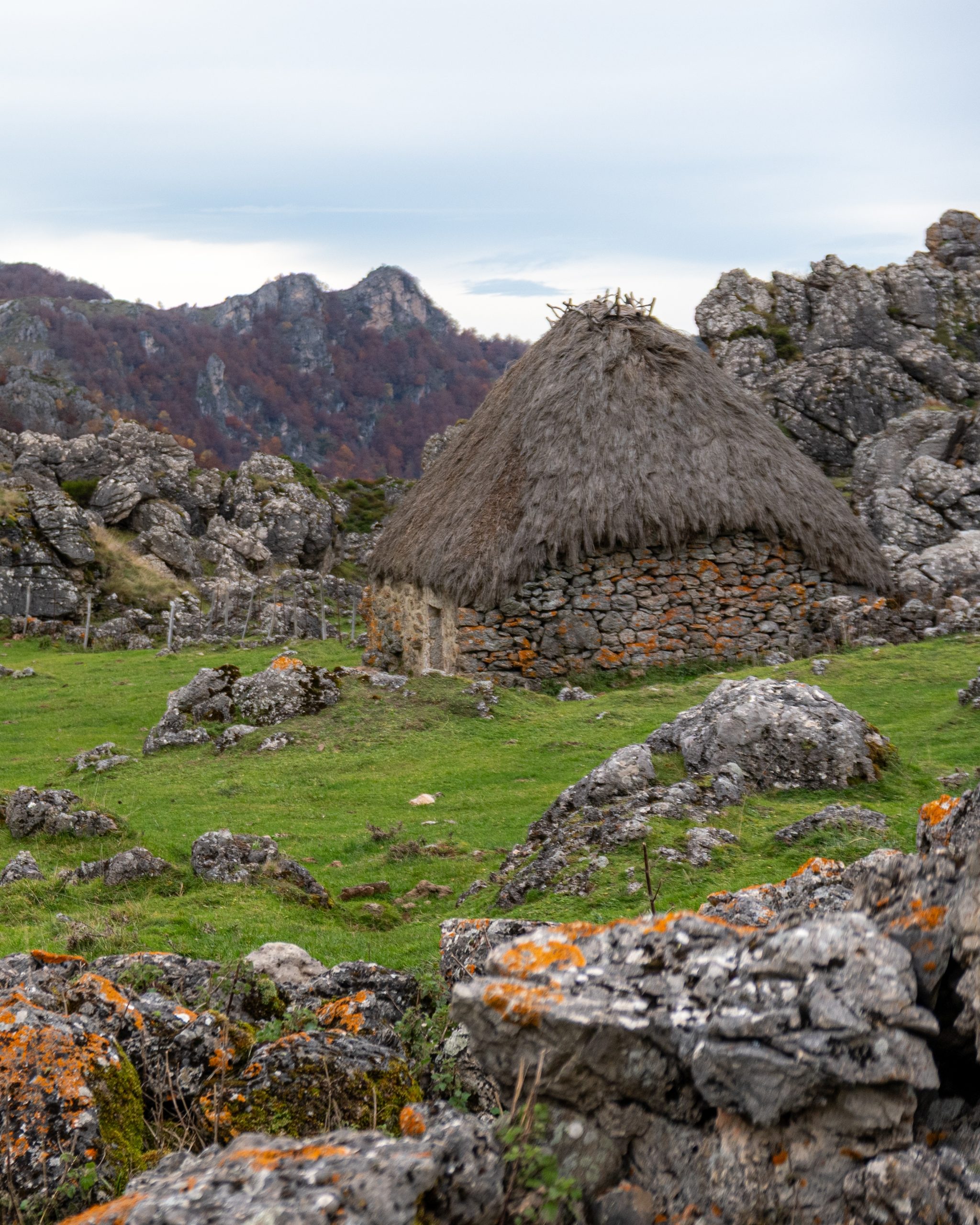 PC_05102025_181020 (02)