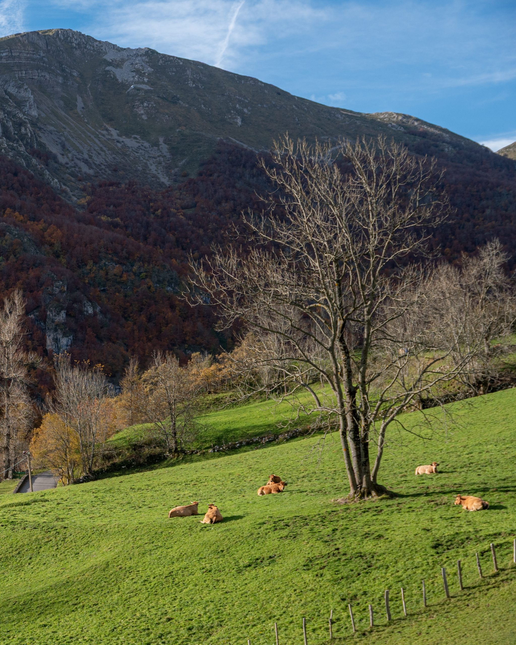 PC_05102025_181138 (02)