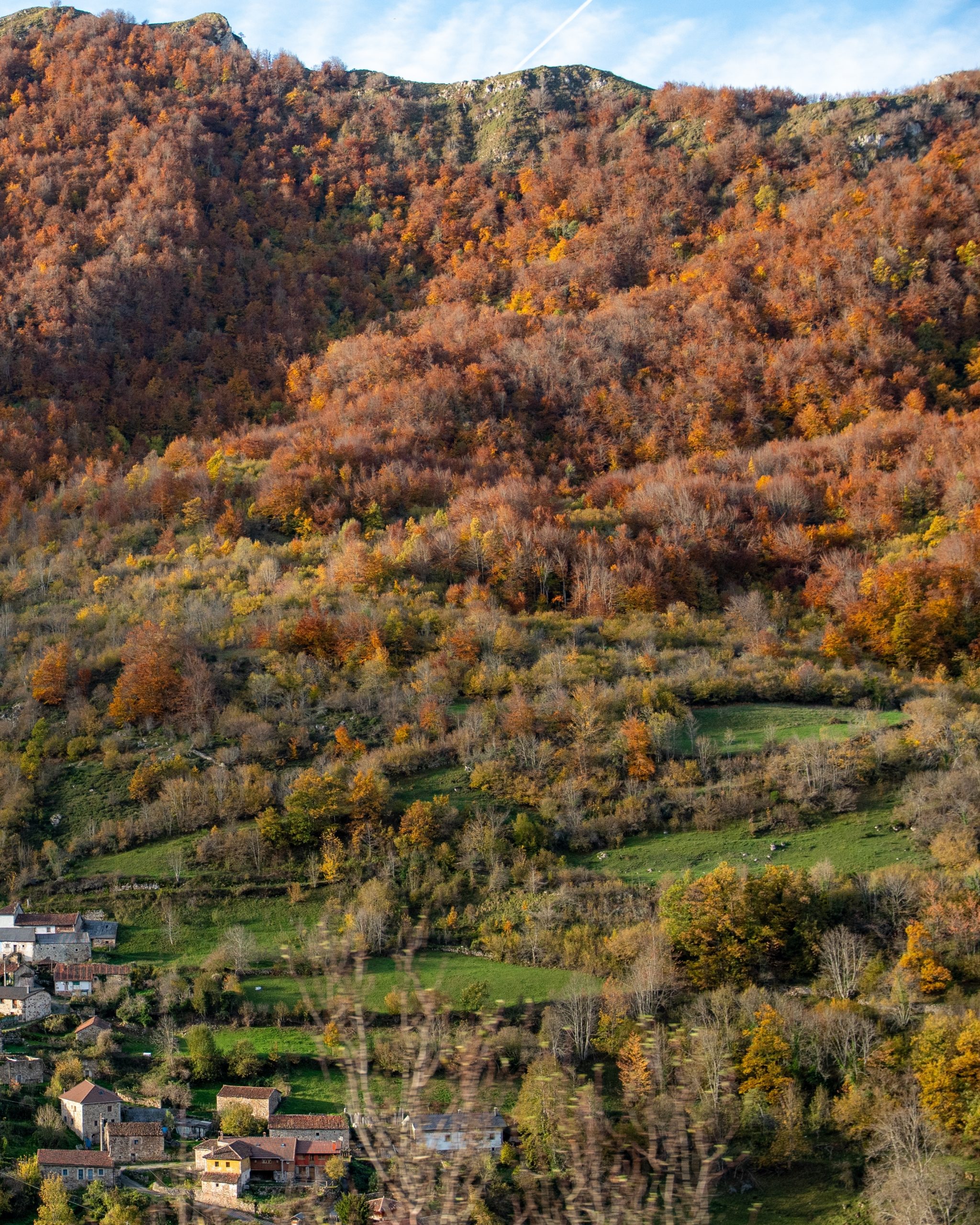 PC_05102025_181210 (02)