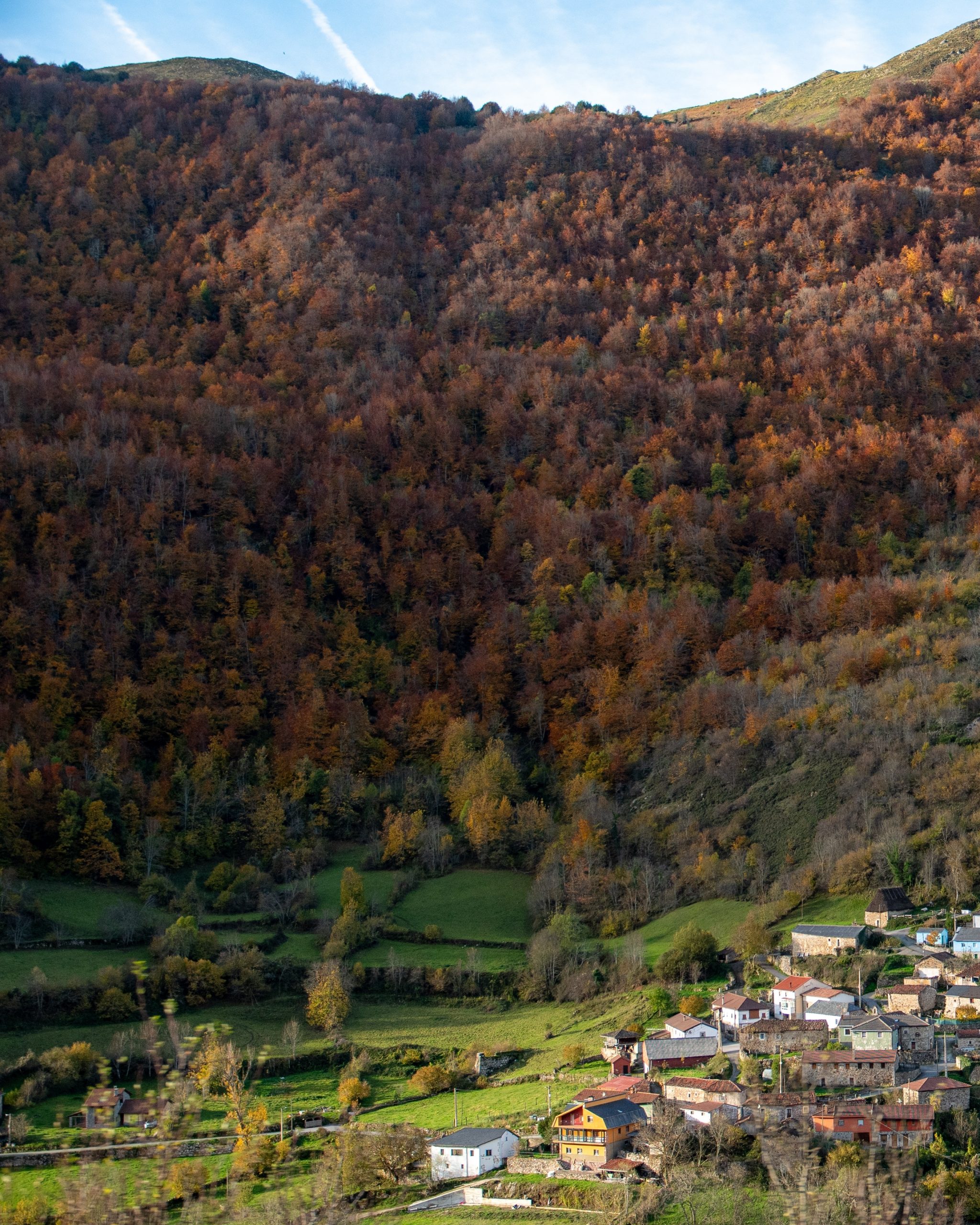 PC_05102025_181211 (01)