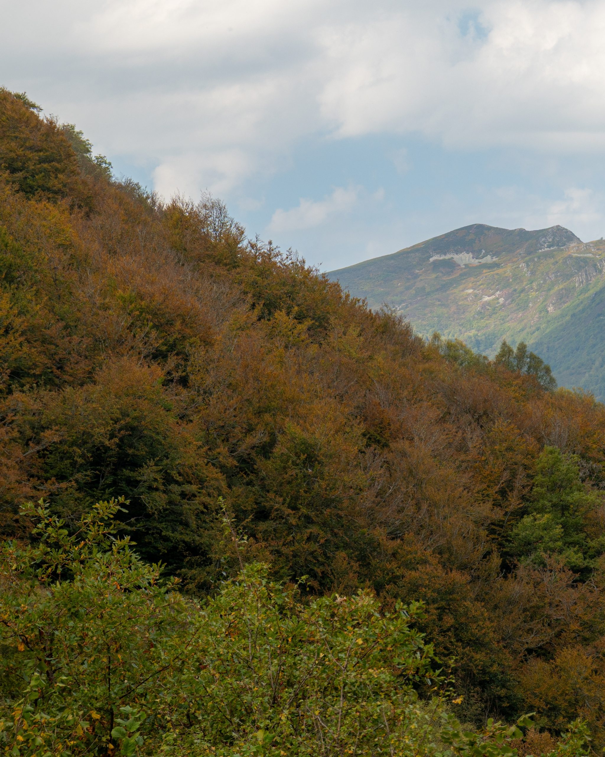 PC_08102025_164534 (01)