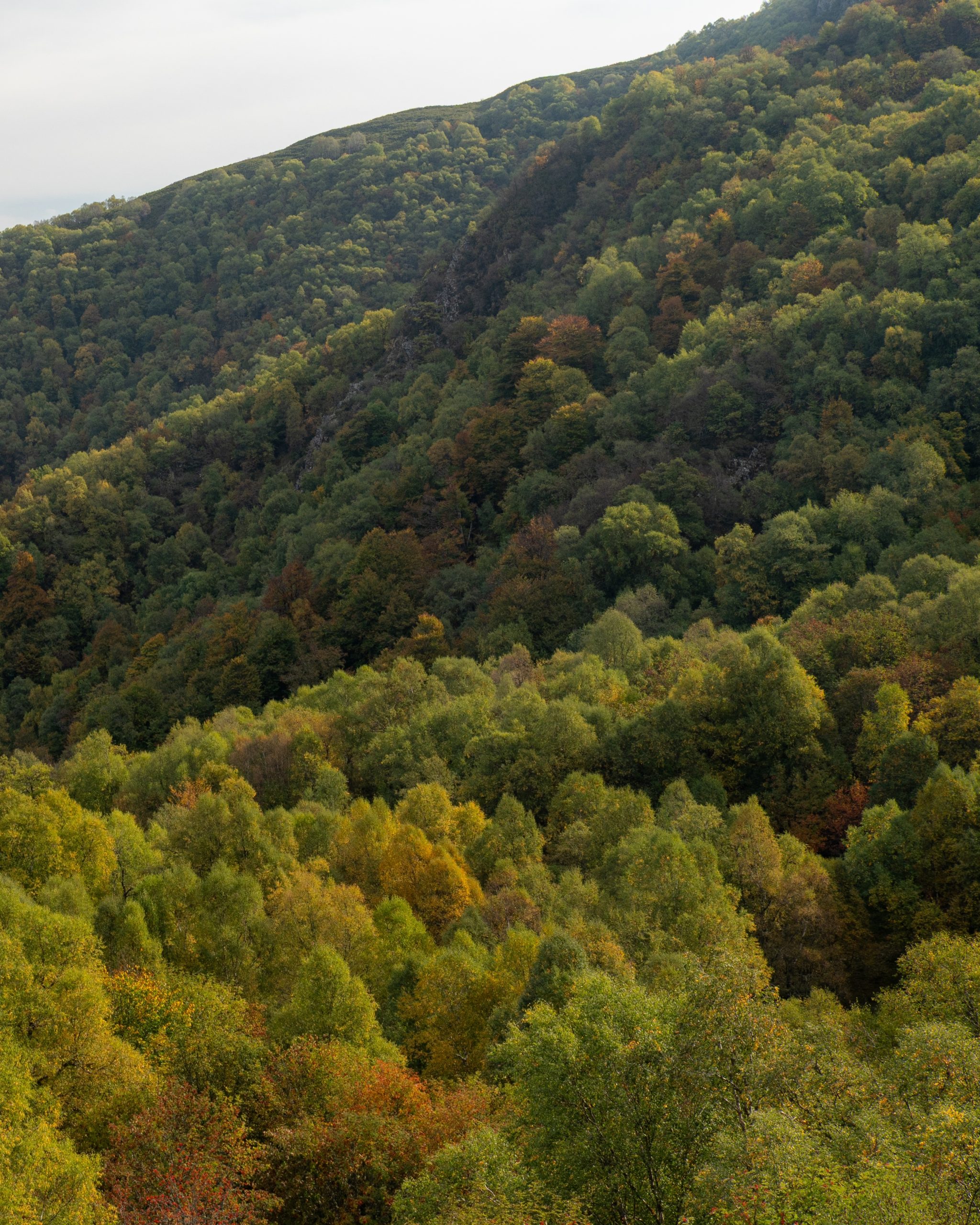 PC_08102025_164615 (02)