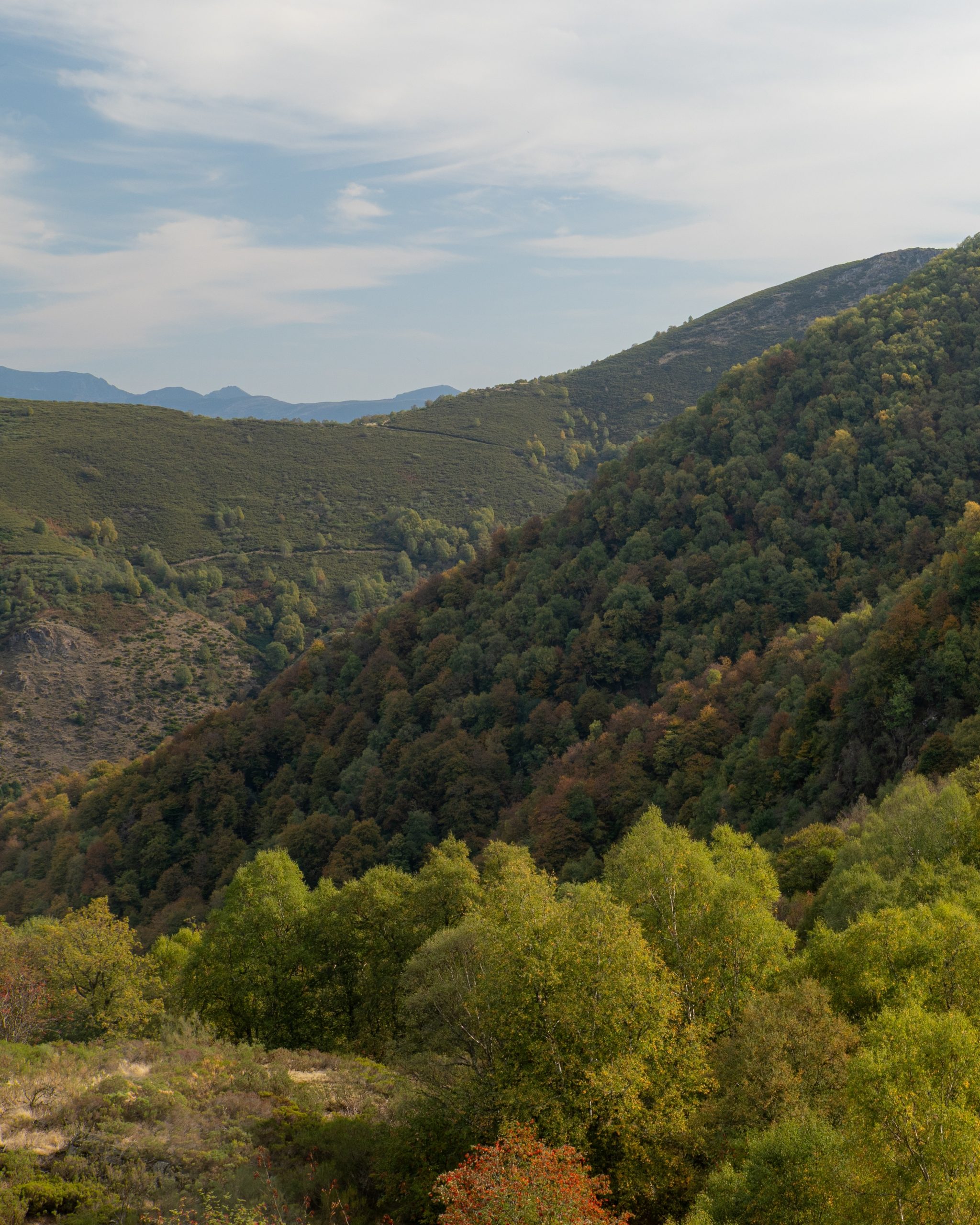 PC_08102025_164616 (01)