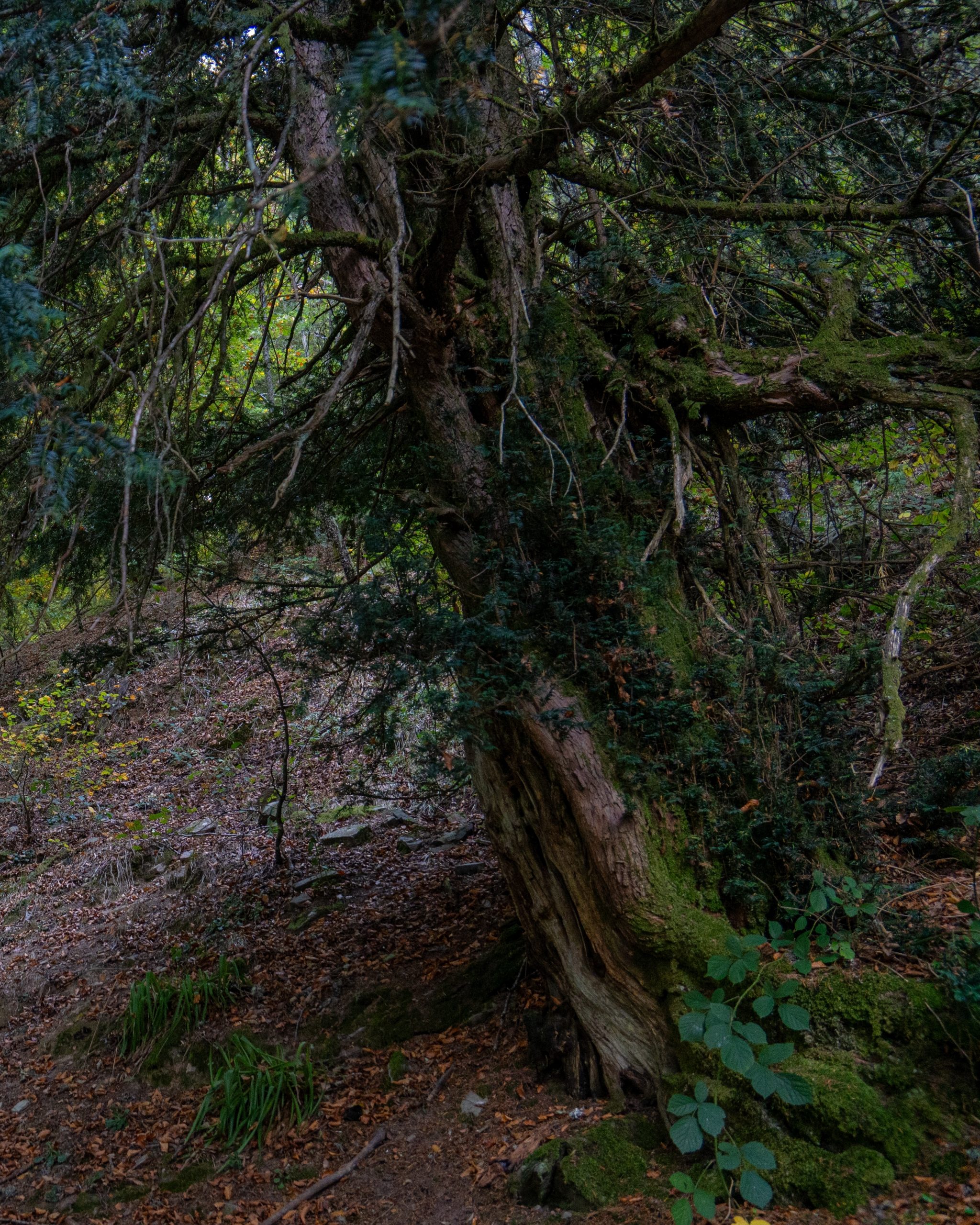 PC_08102025_164735 (02)