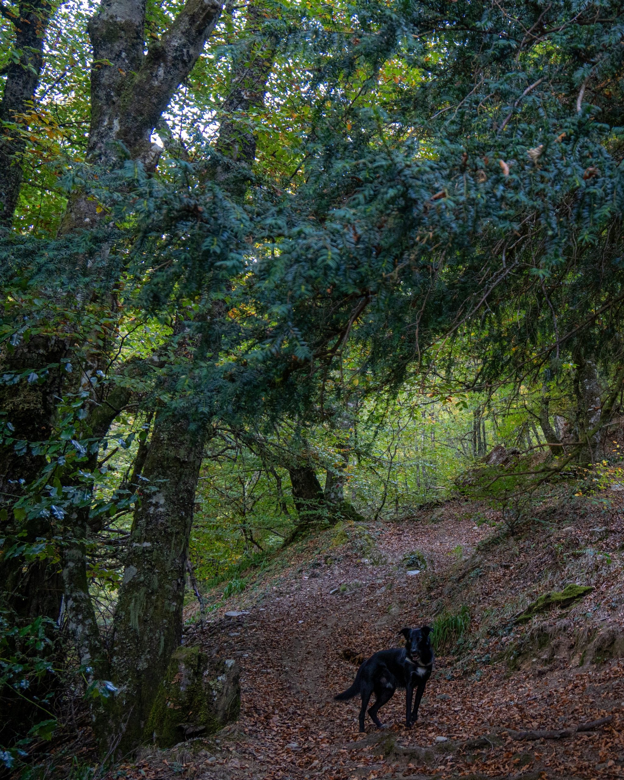 PC_08102025_164736 (01)