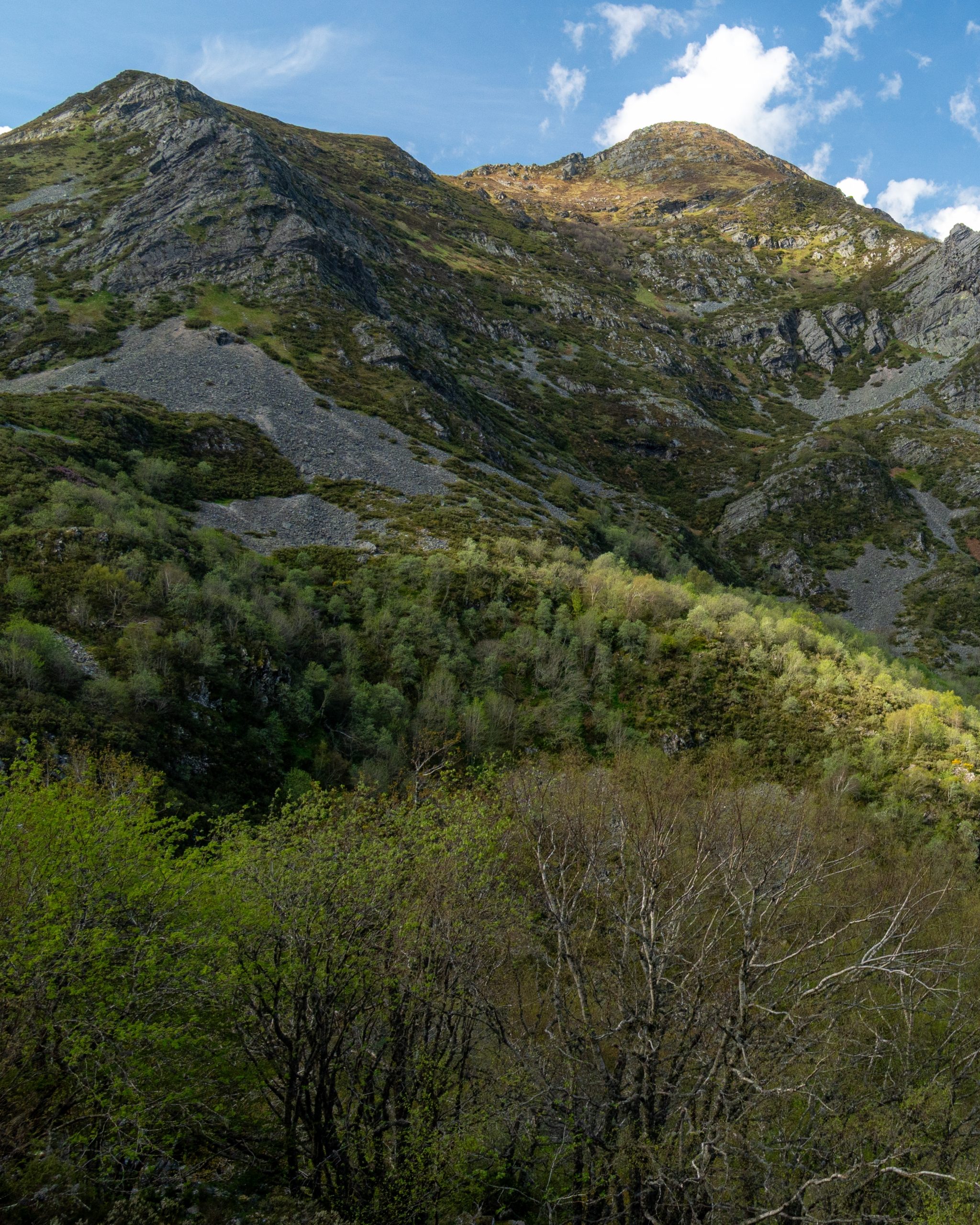 PC_21102025_202736 (01)