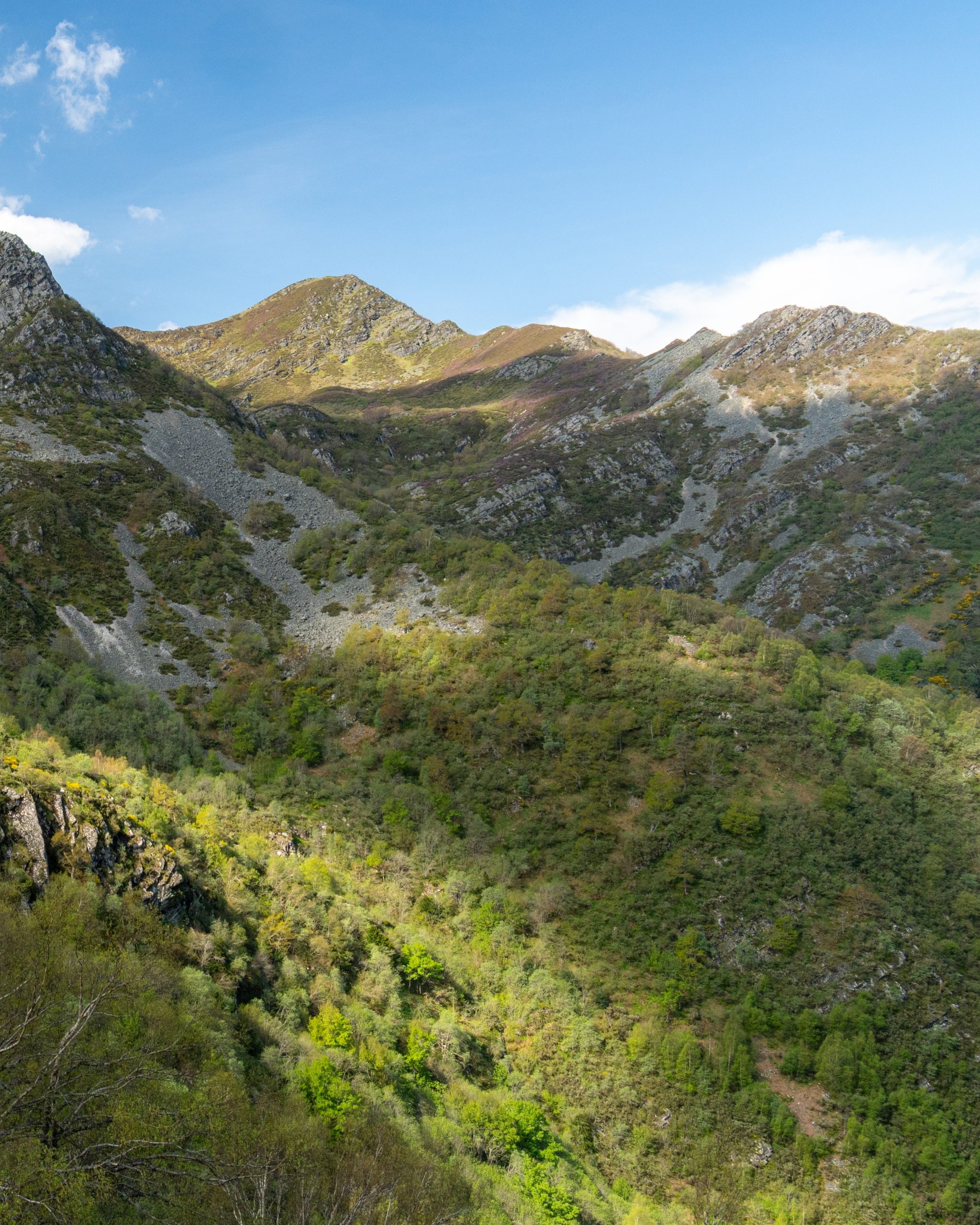 PC_21102025_202736 (02)