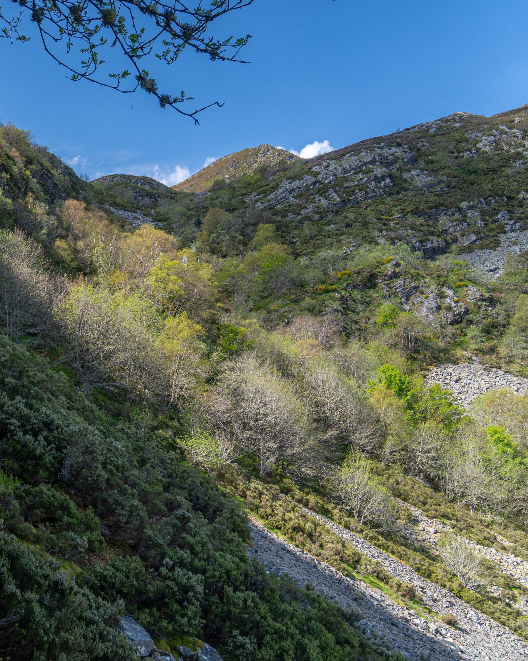 PC_21102025_202845 (02)