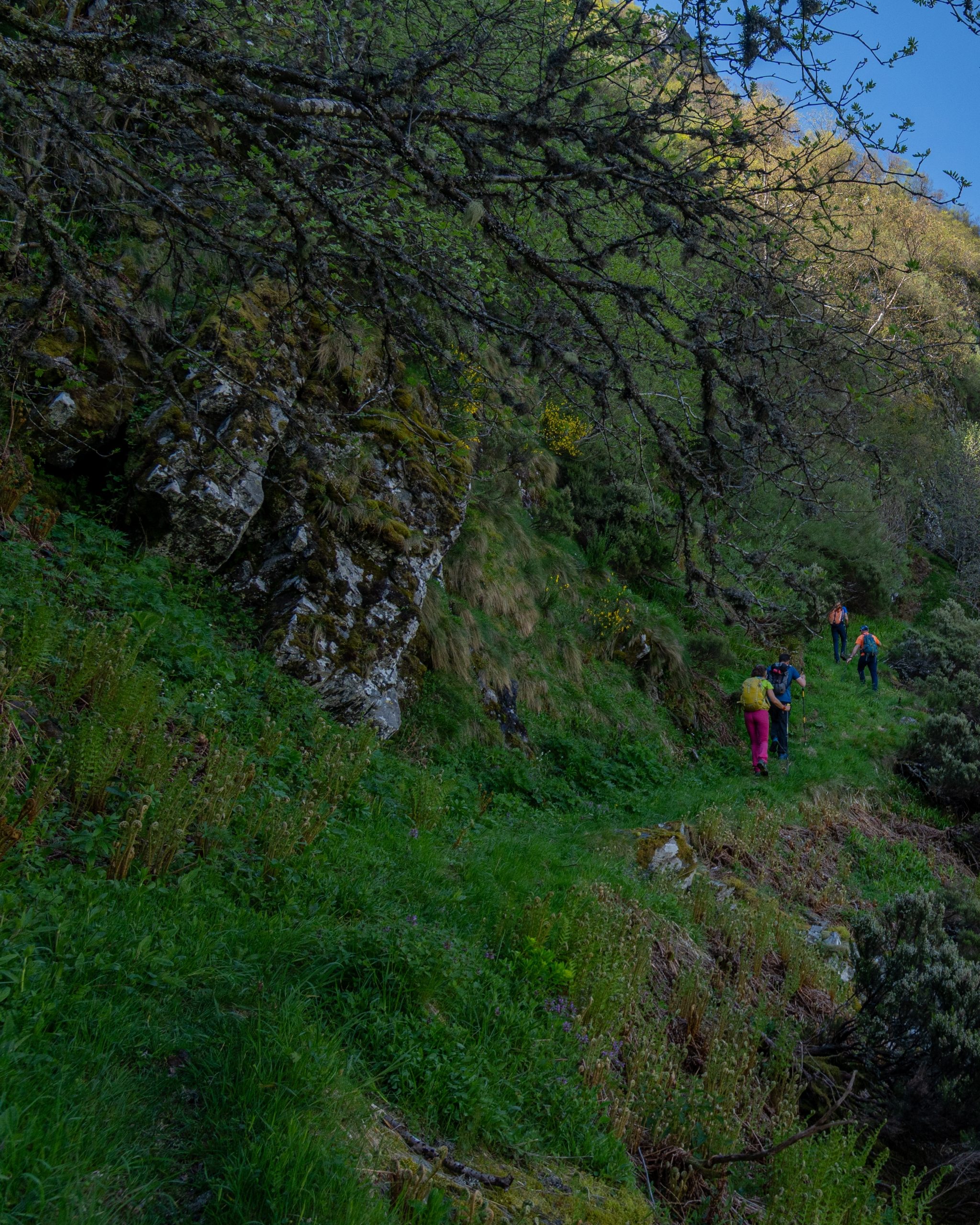 PC_21102025_202846 (01)