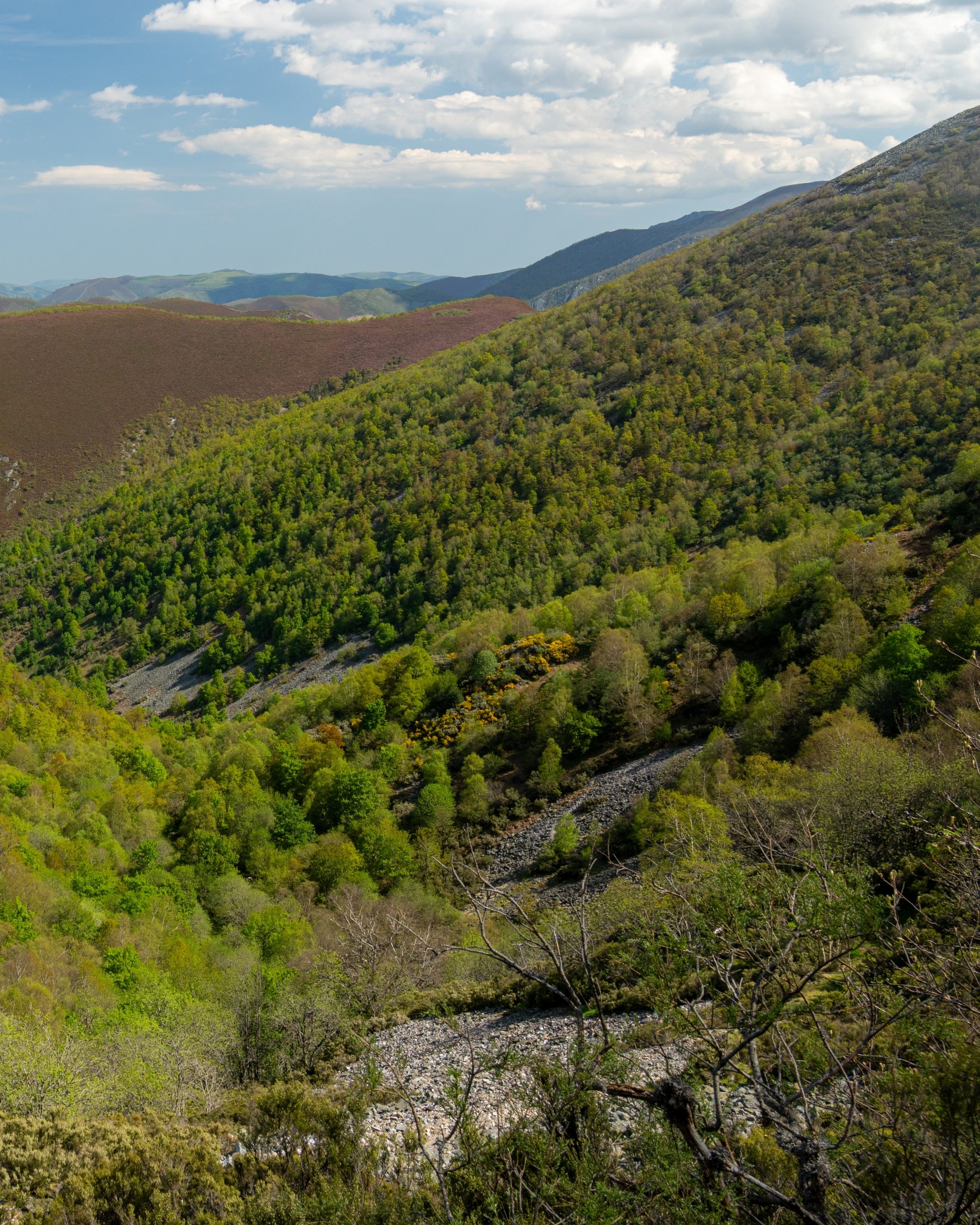 PC_21102025_202935 (02)