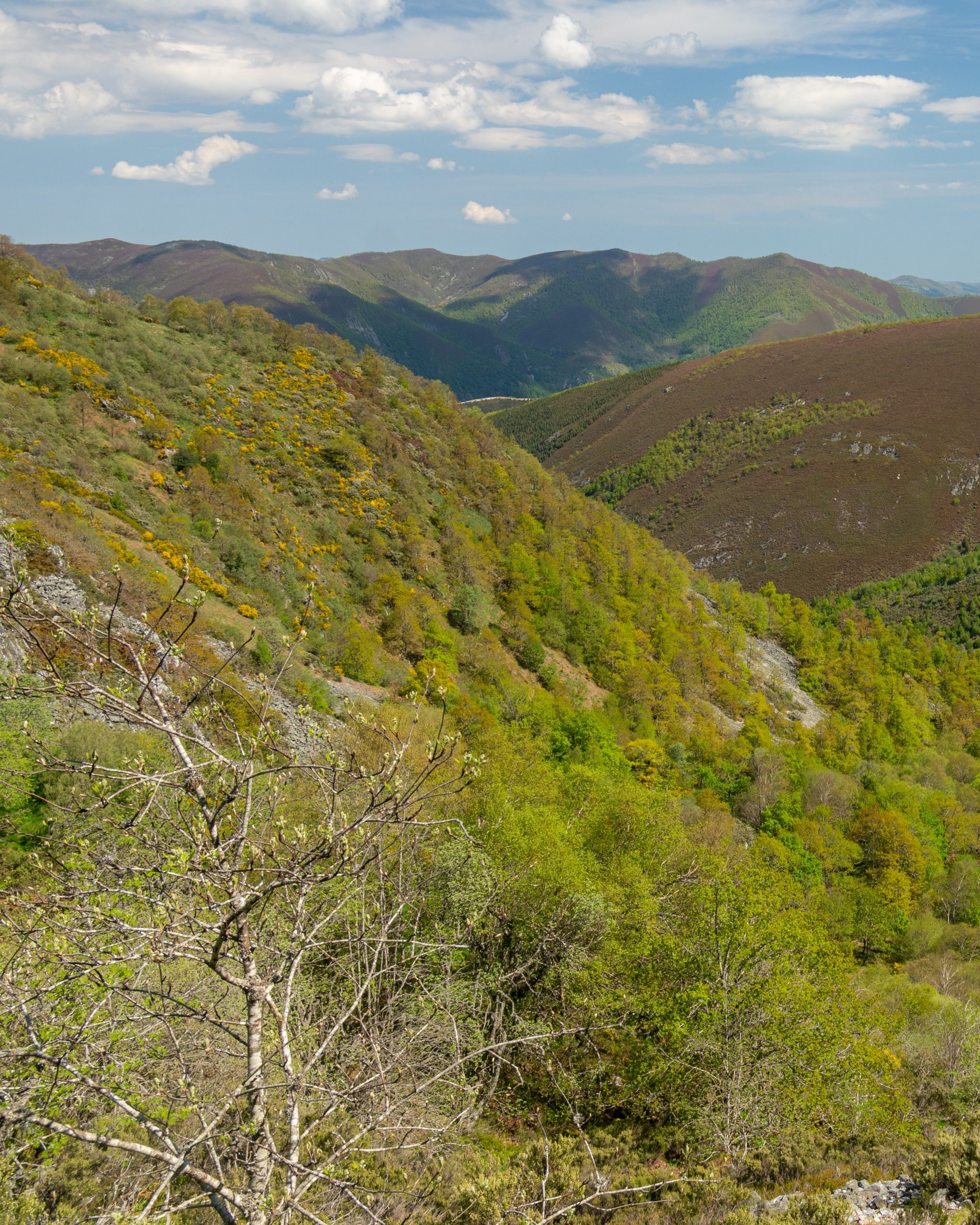 PC_21102025_202936 (01)