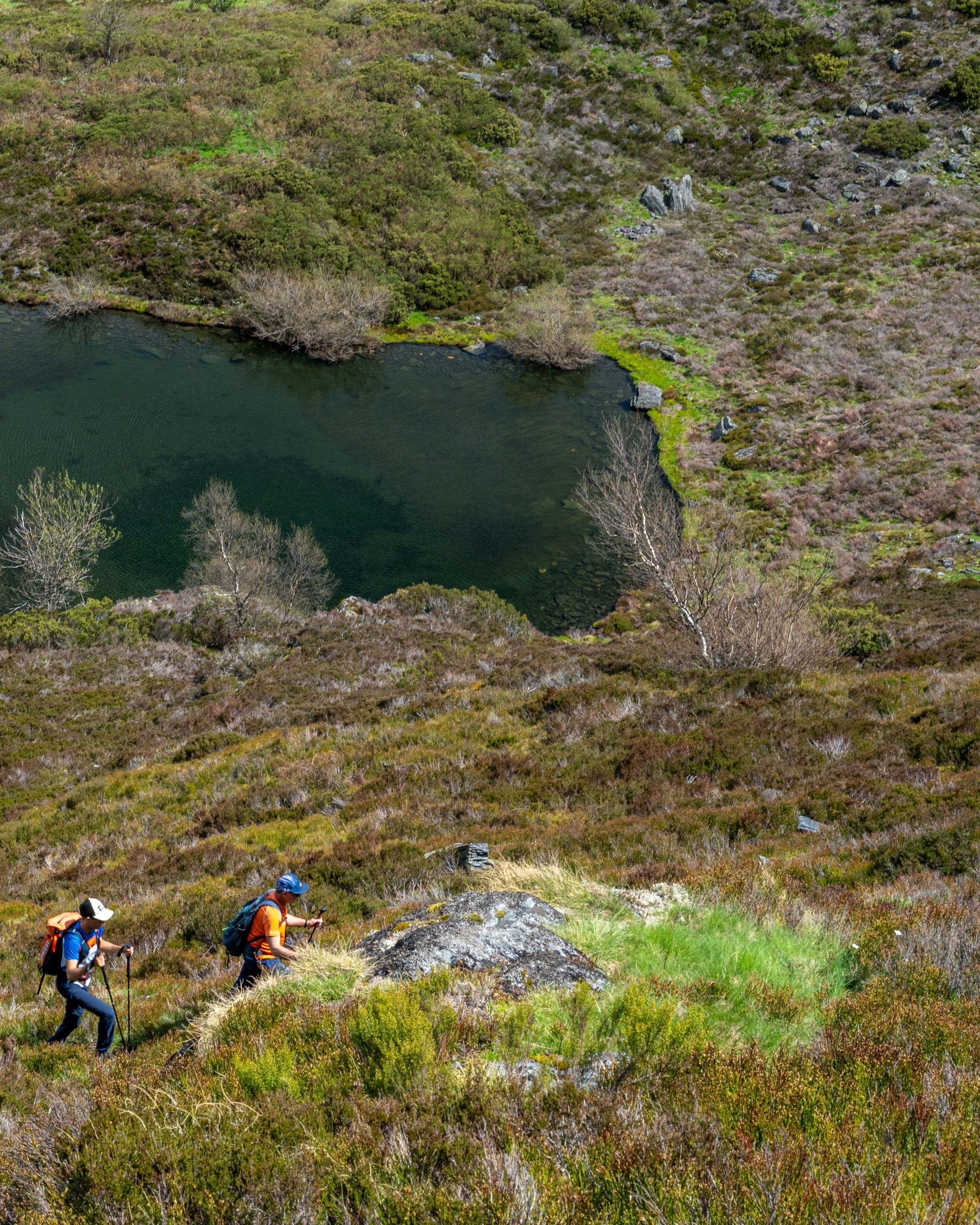 PC_21102025_203029 (02)