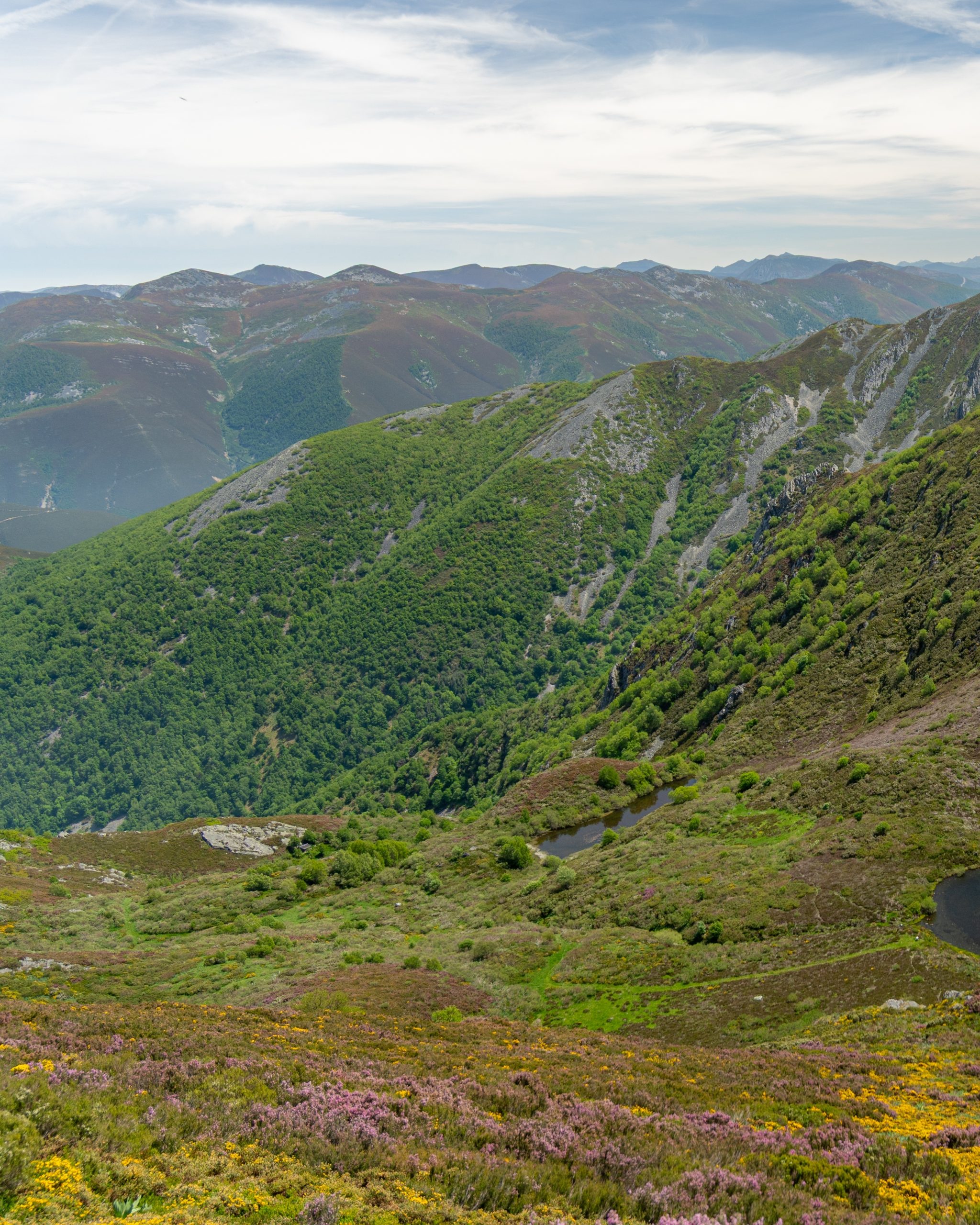 PC_21102025_203331 (01)