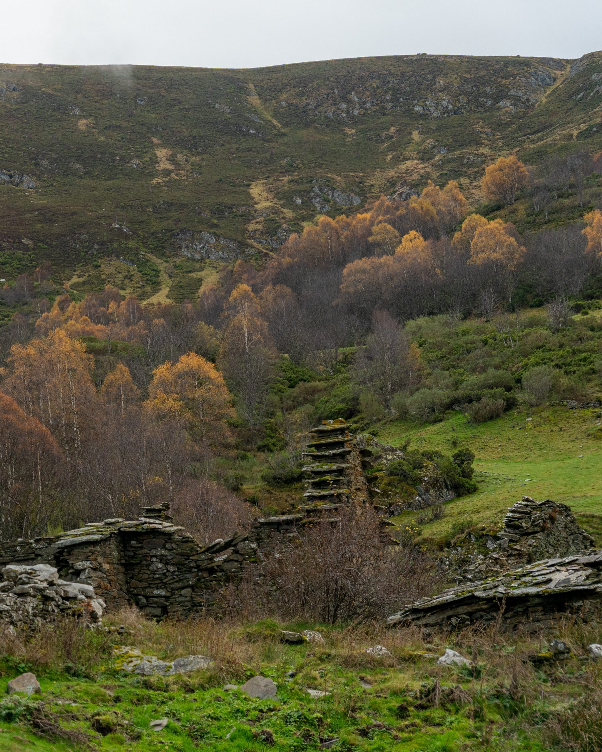 PC_29102025_165227 (02)