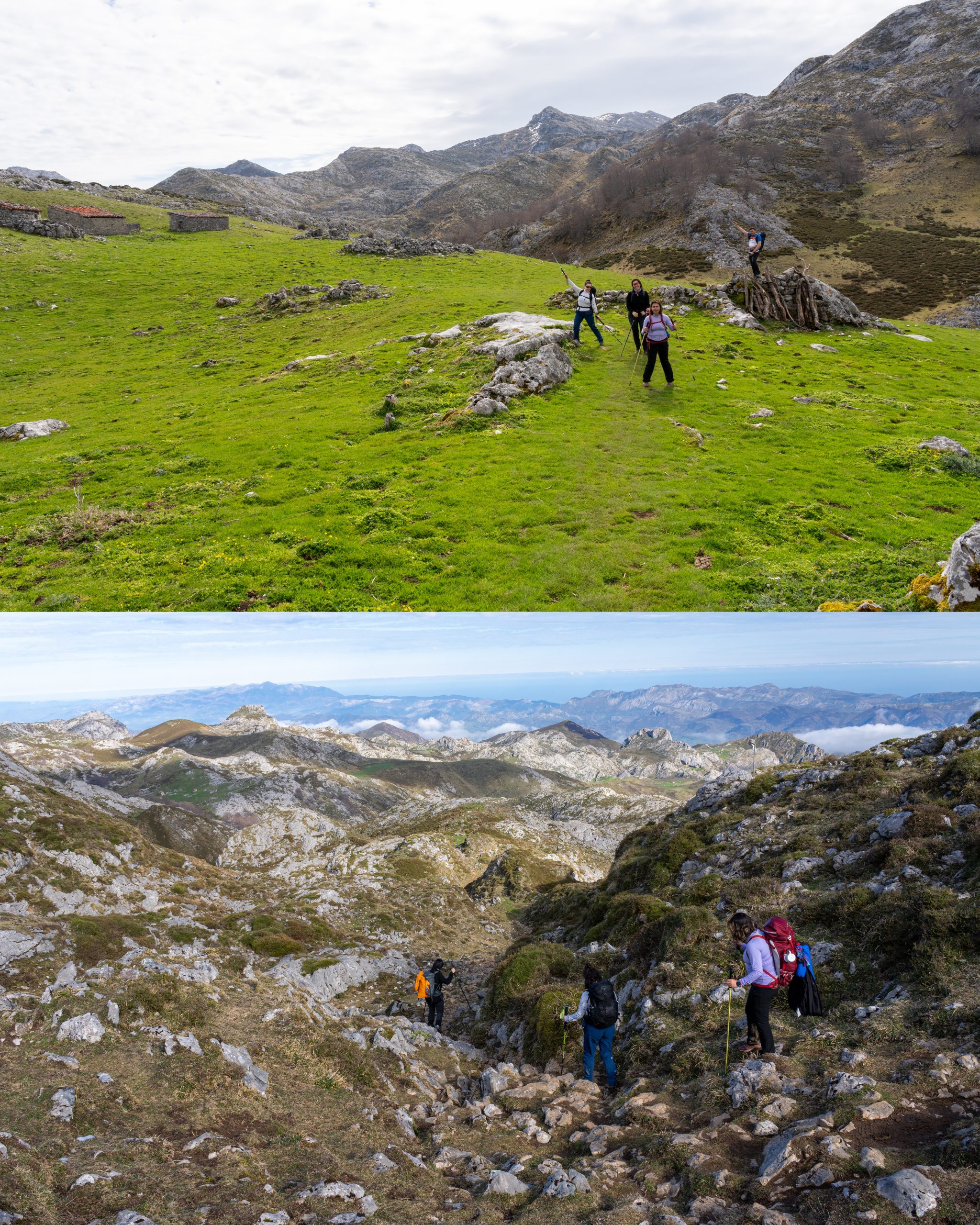 InCollage_20260407_190544318