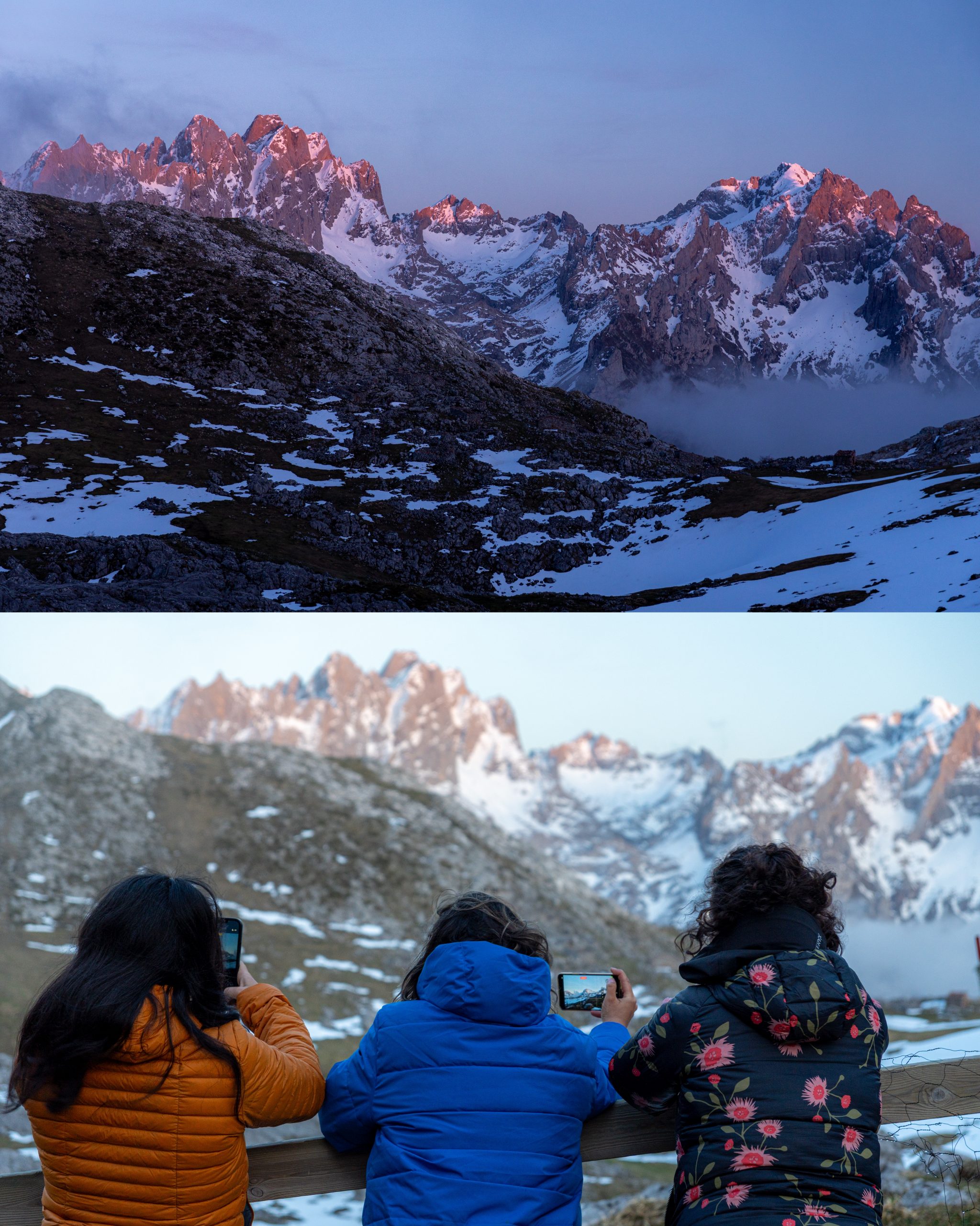 InCollage_20260408_154046364